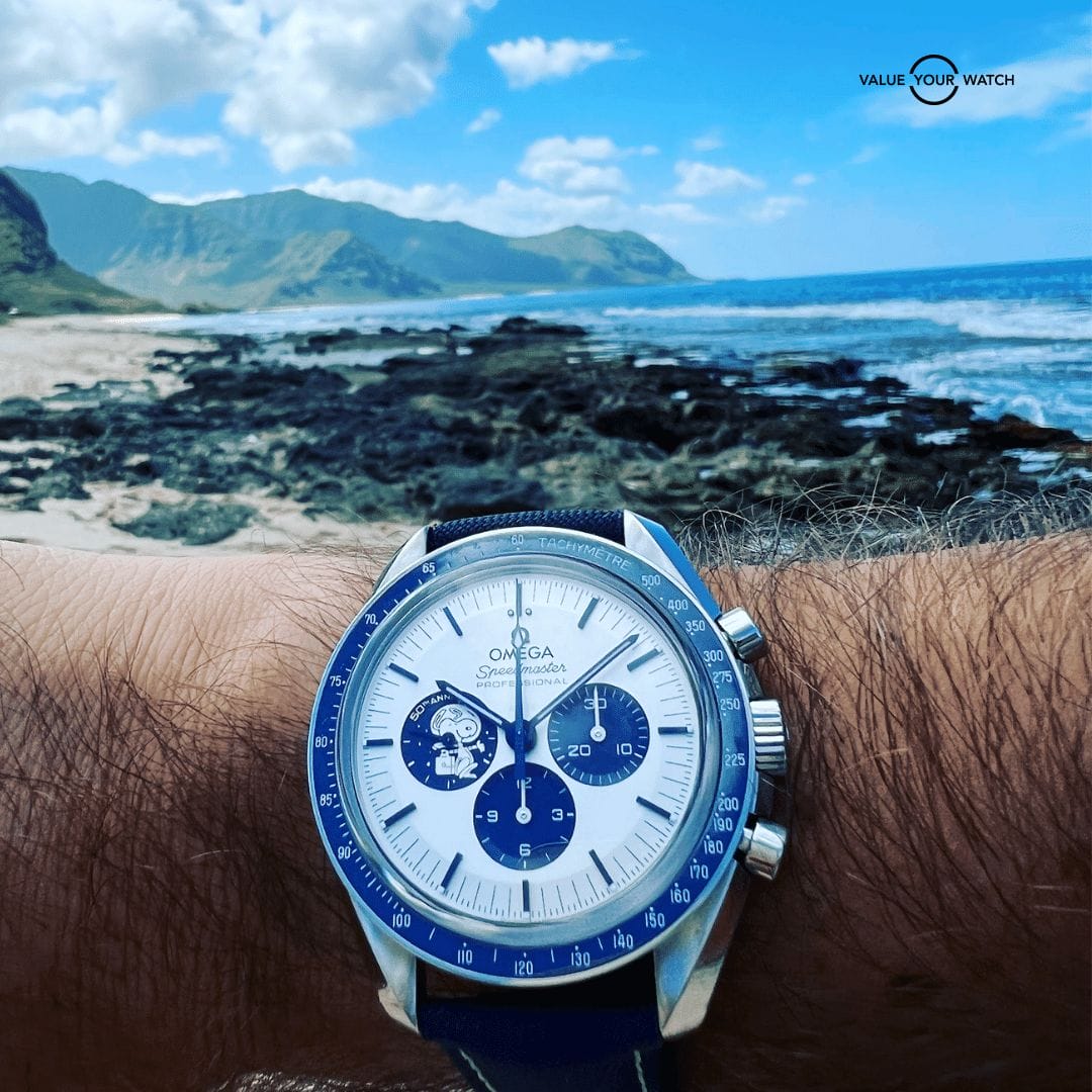 7 Steps to Building a Valuable Watch Collection