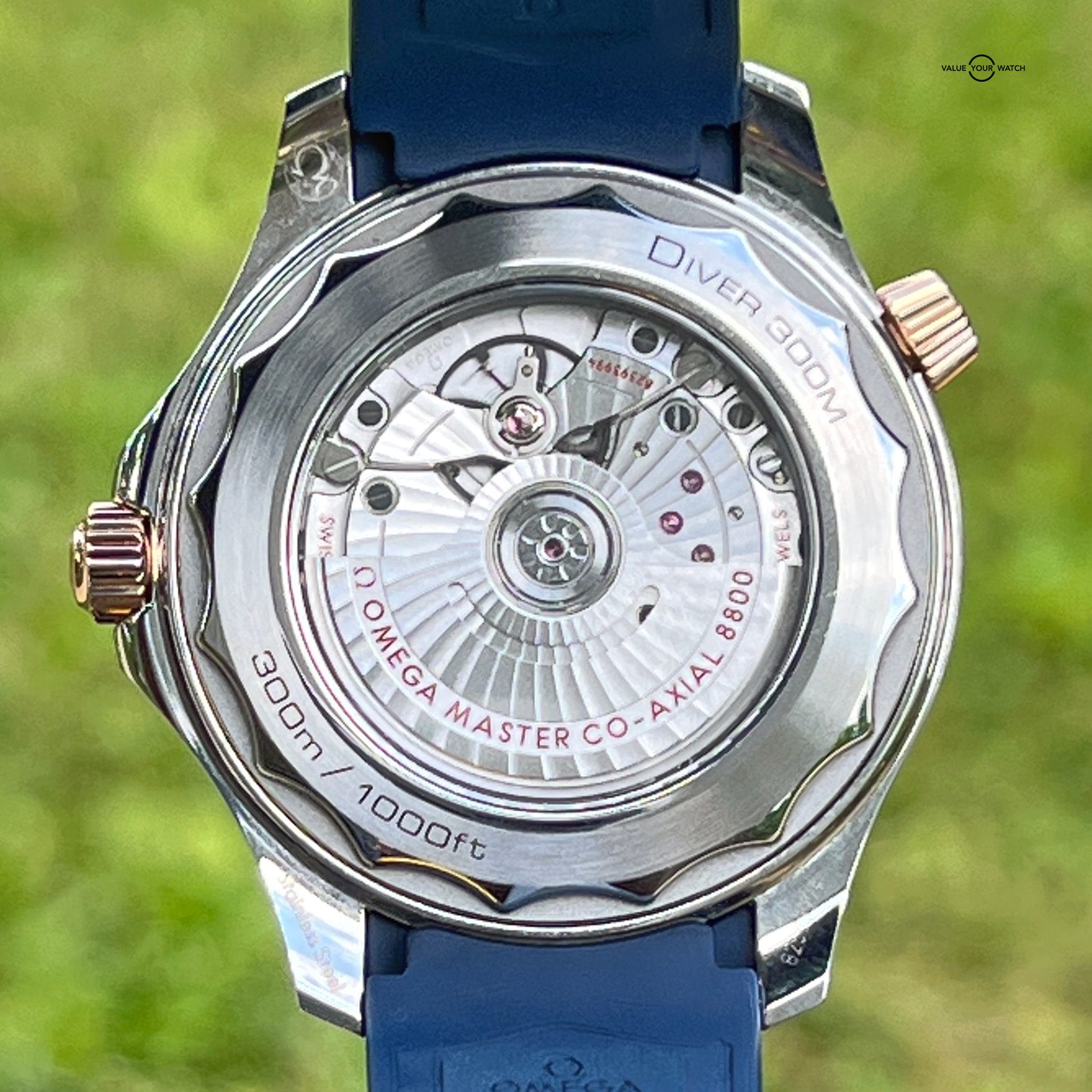 OMEGA Seamaster Diver 300M Co-Axial Blue Wave Ceramic Sedna Gold Warranty B&P - Image 5