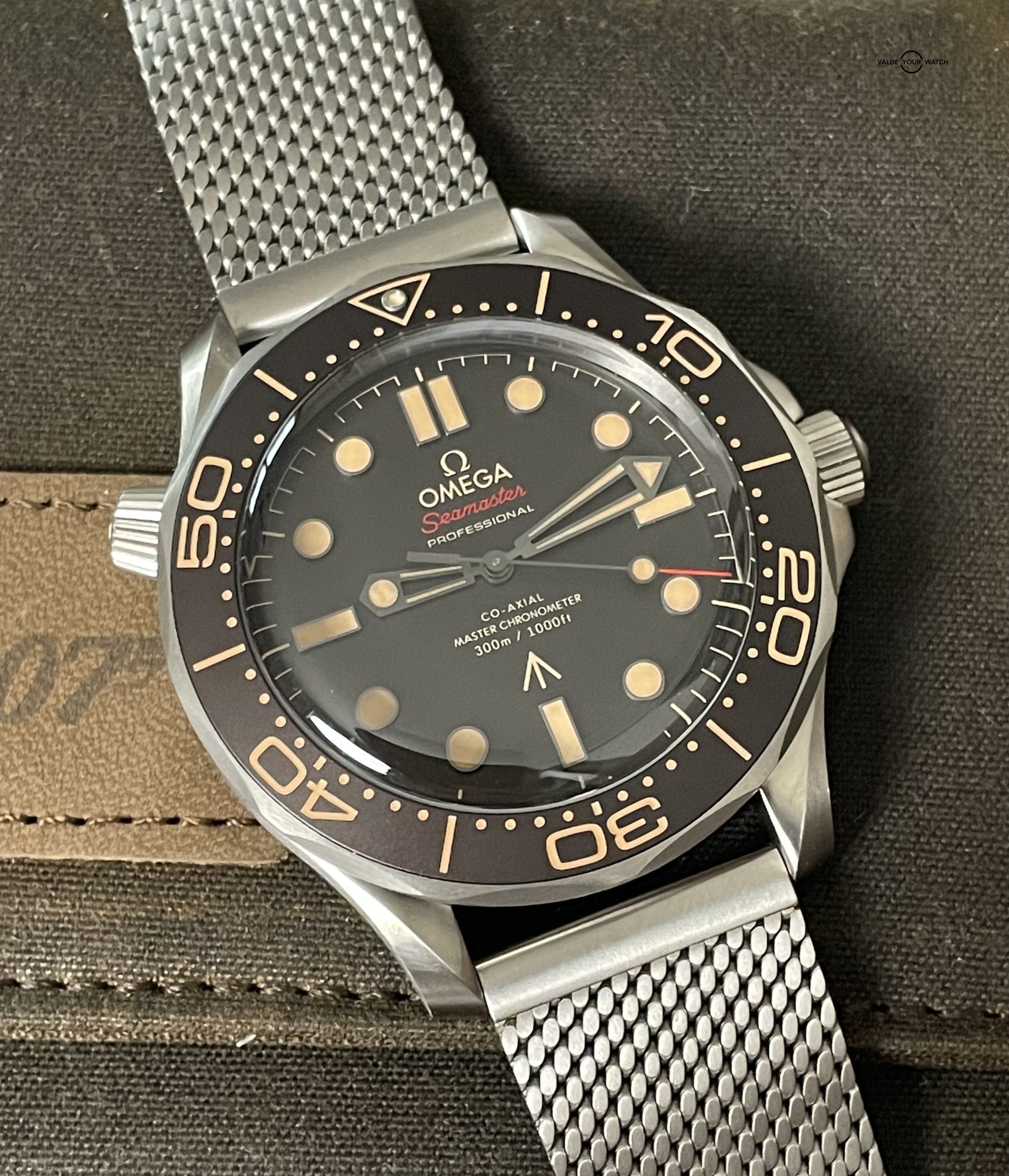 Omega seamaster 300 titanium for cheap sale