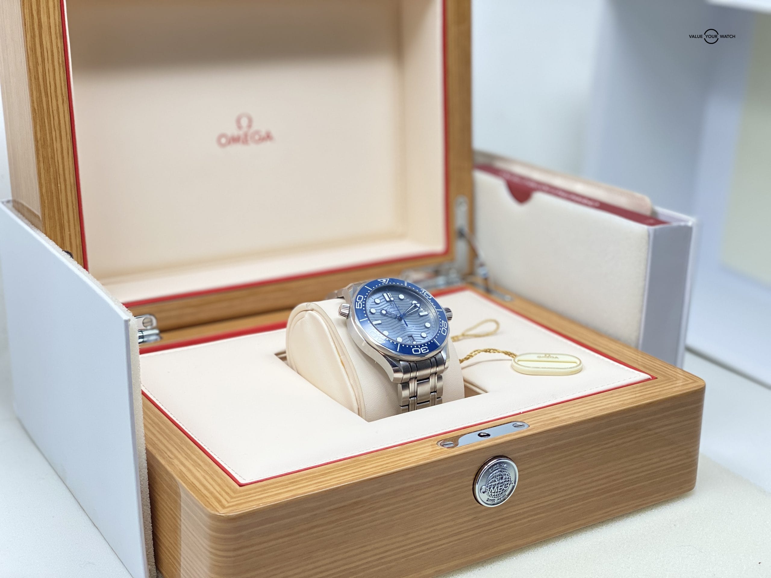 Seamaster Diver 300 M Co-Axial Master Chronometer "Grey Dial"