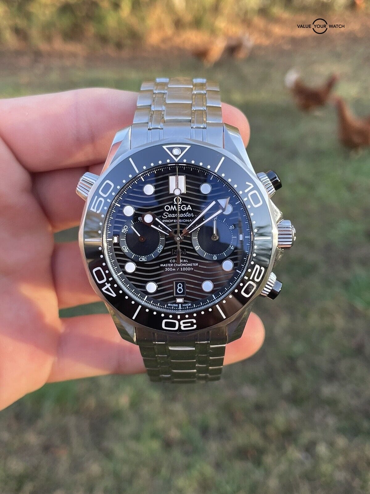 Omega Seamaster Diver 300M Chronograph Steel 44 mm Watch 210.30.44.51.01.001 - Image 4