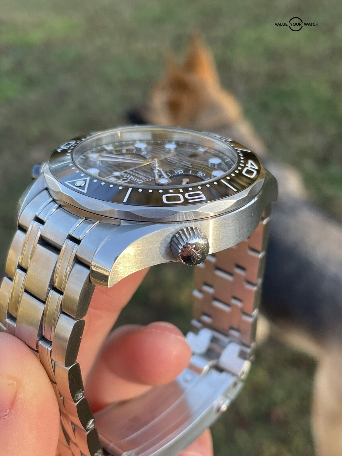 Omega Seamaster Diver 300M Chronograph Steel 44 mm Watch 210.30.44.51.01.001 - Image 15