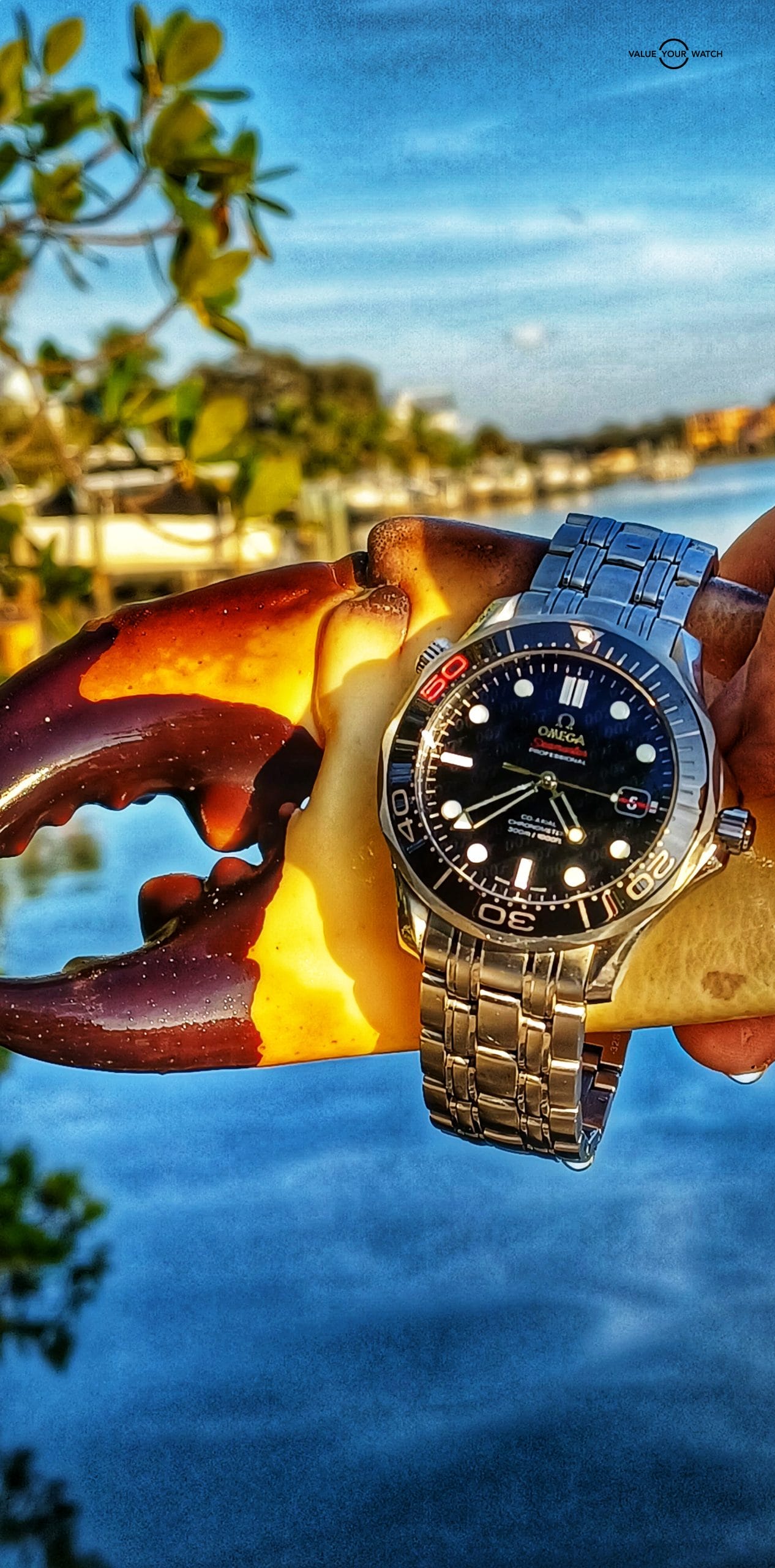 Bond 007 Omega Seamaster 50th Anniversary Omega Seamaster James