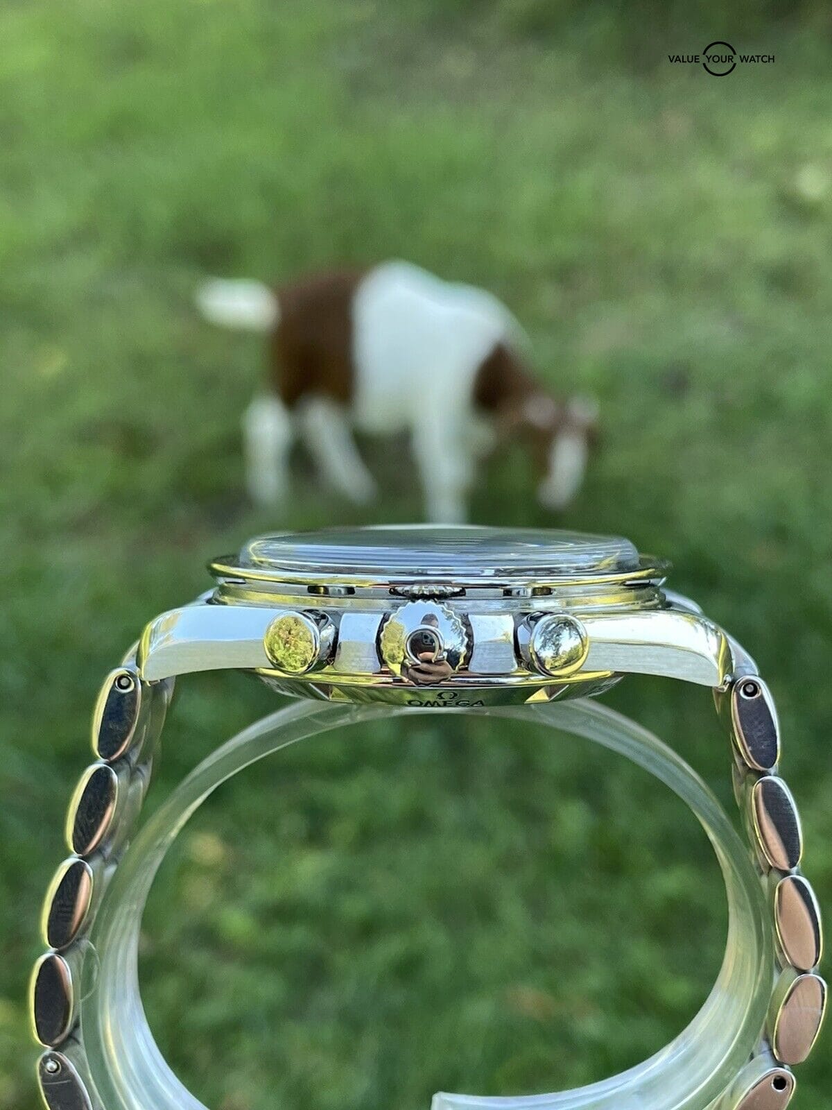 OMEGA Speedmaster Professional Moonwatch Sapphire Brown Dial 311.30.42.30.13.001 - Image 10