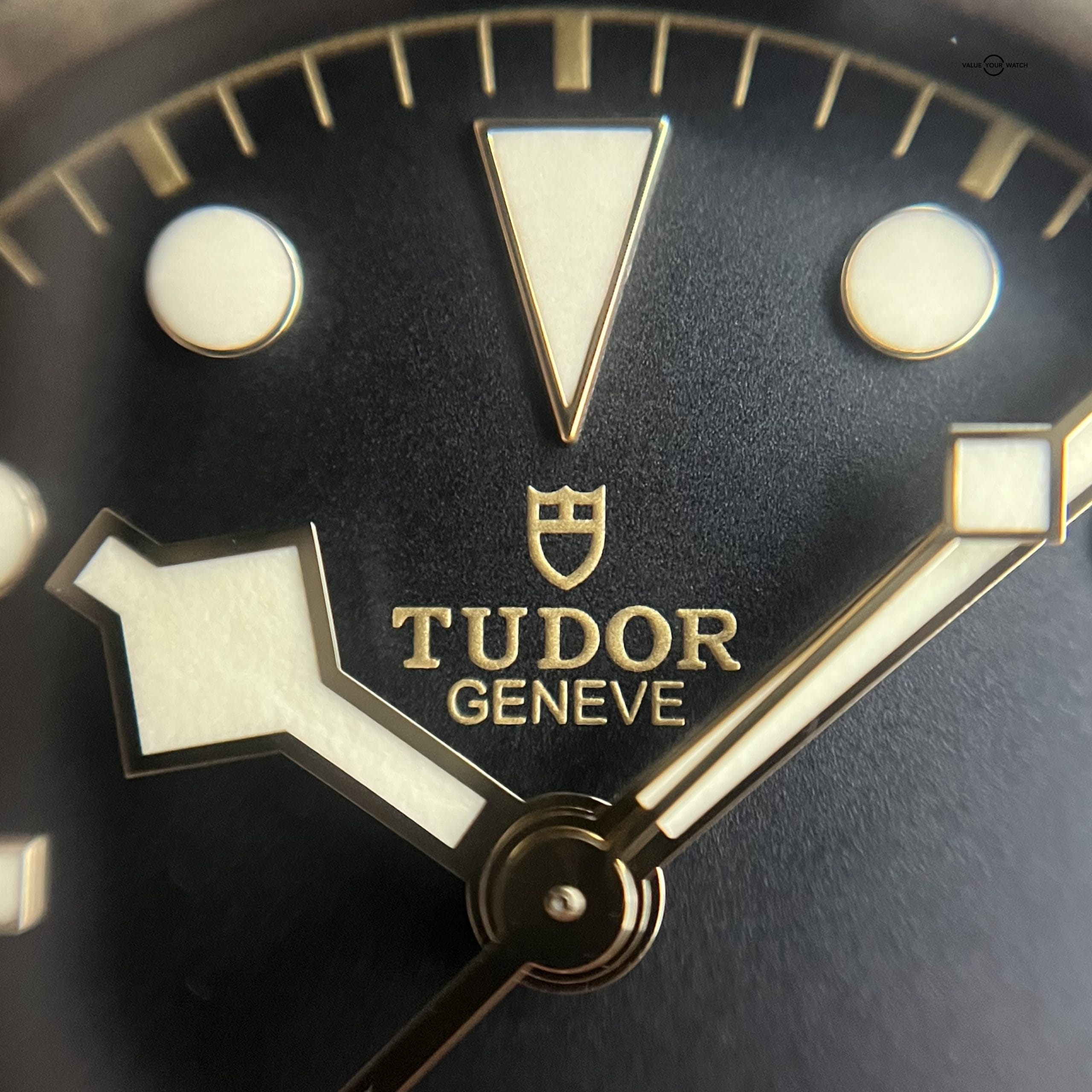 2022 41mm Tudor Black Bay Heritage w/ Boxes - Image 15