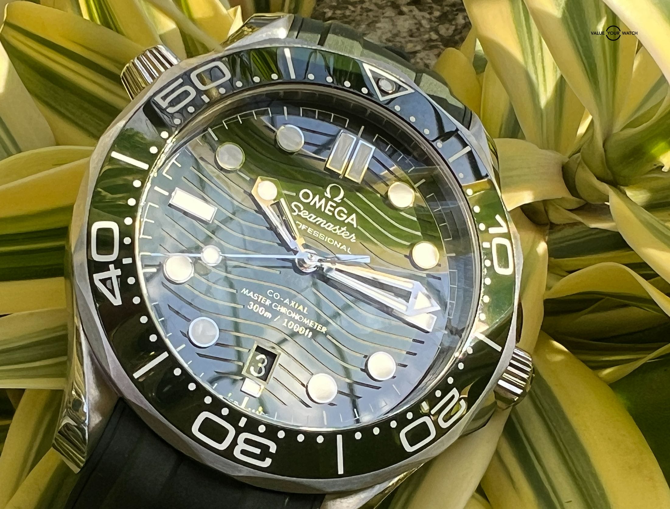 Omega Seamaster Diver 300 M Green Dial