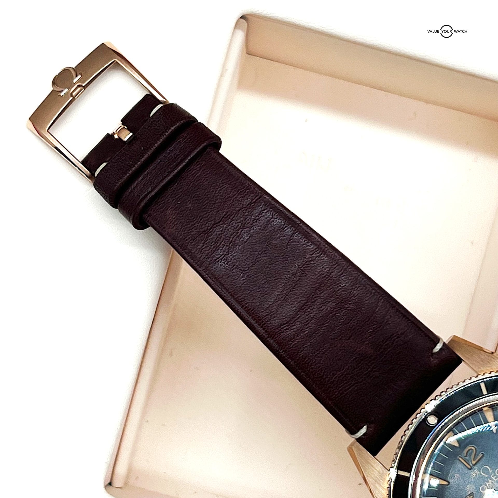 Omega Seamaster 300 Bronze Gold / 234.92.41.21.10.001 / 2022 Full Set - Image 11