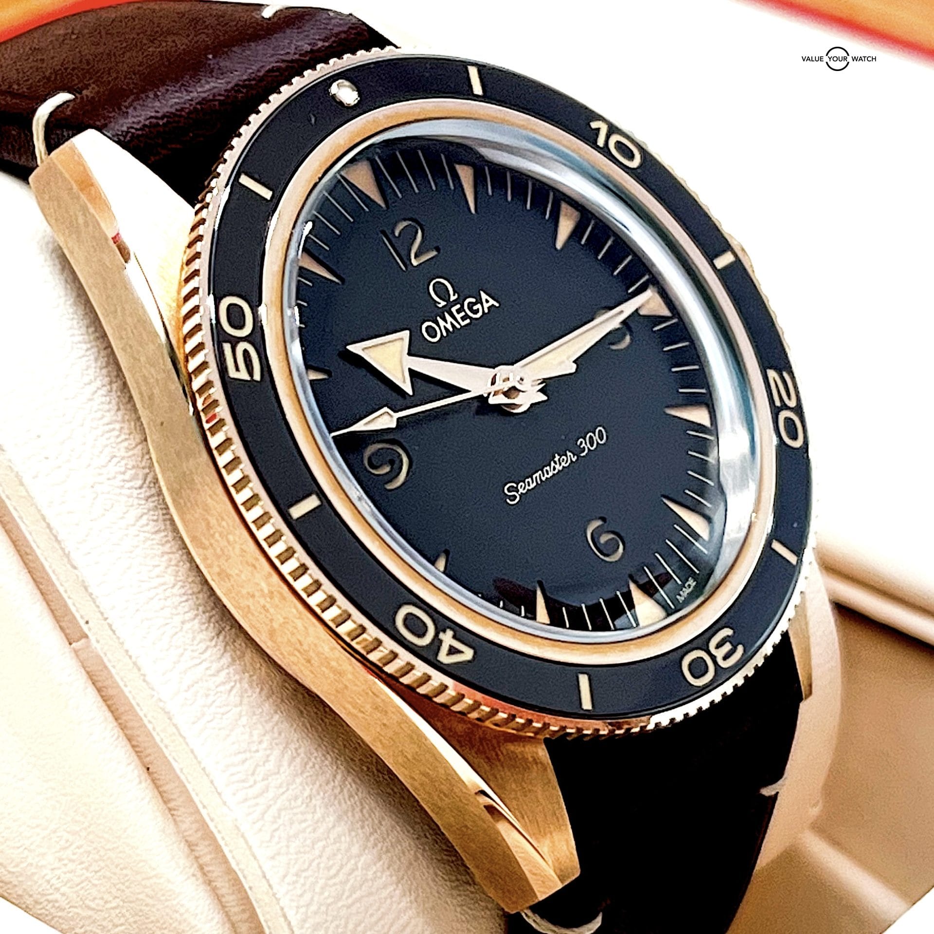 Omega Seamaster 300 Bronze Gold / 234.92.41.21.10.001 / 2022 Full Set