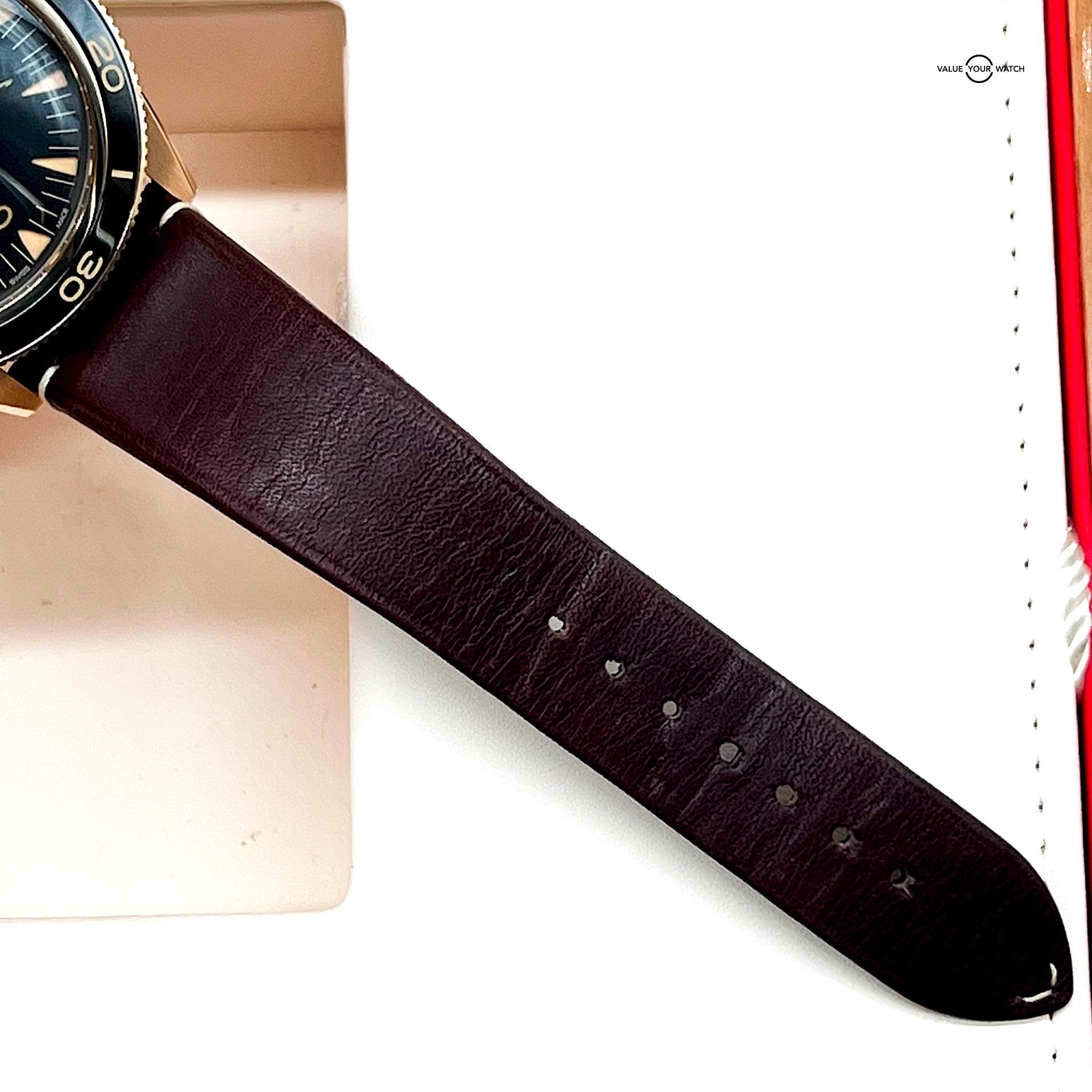 Omega Seamaster 300 Bronze Gold / 234.92.41.21.10.001 / 2022 Full Set - Image 10