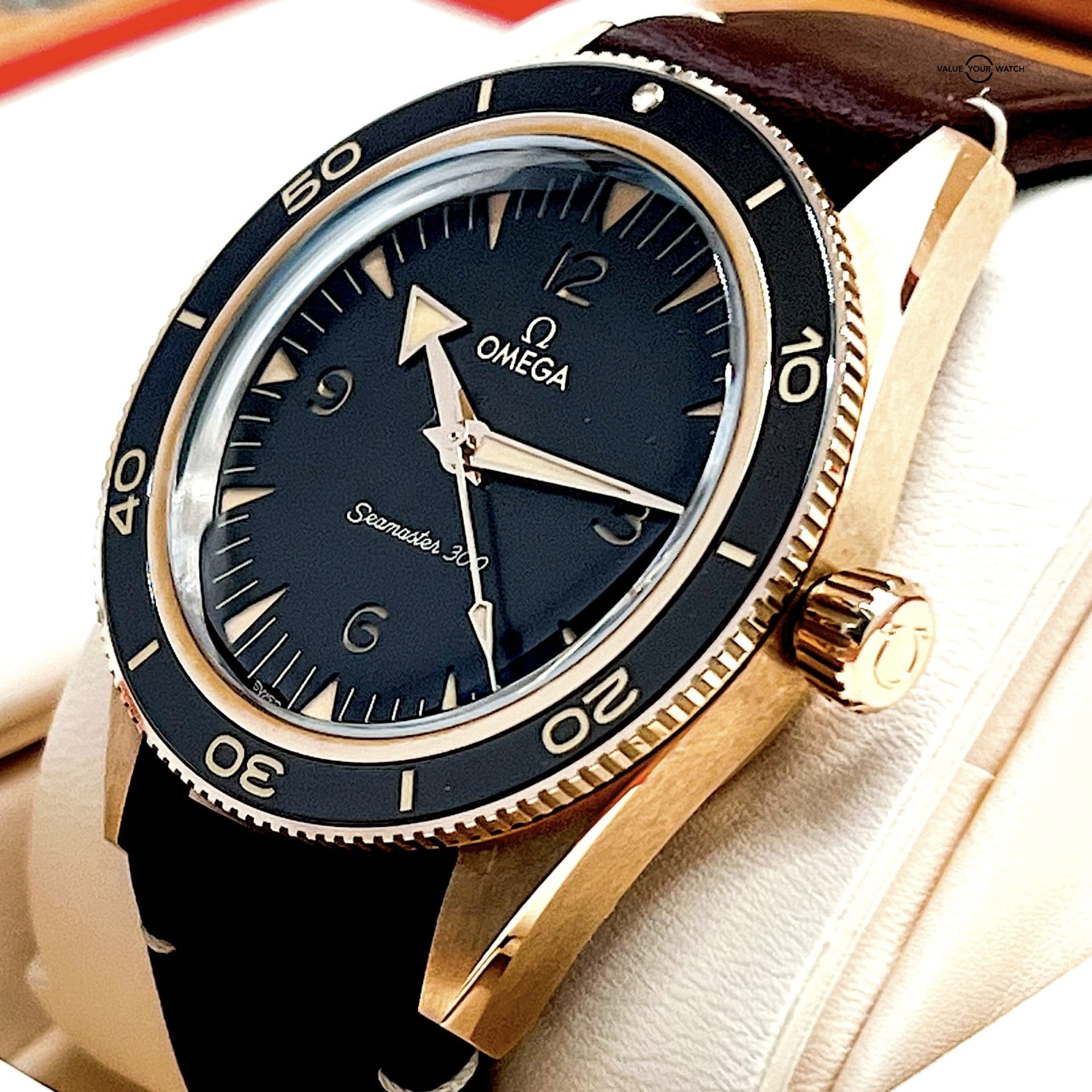 Omega Seamaster 300 Bronze Gold / 234.92.41.21.10.001 / 2022 Full Set - Image 3