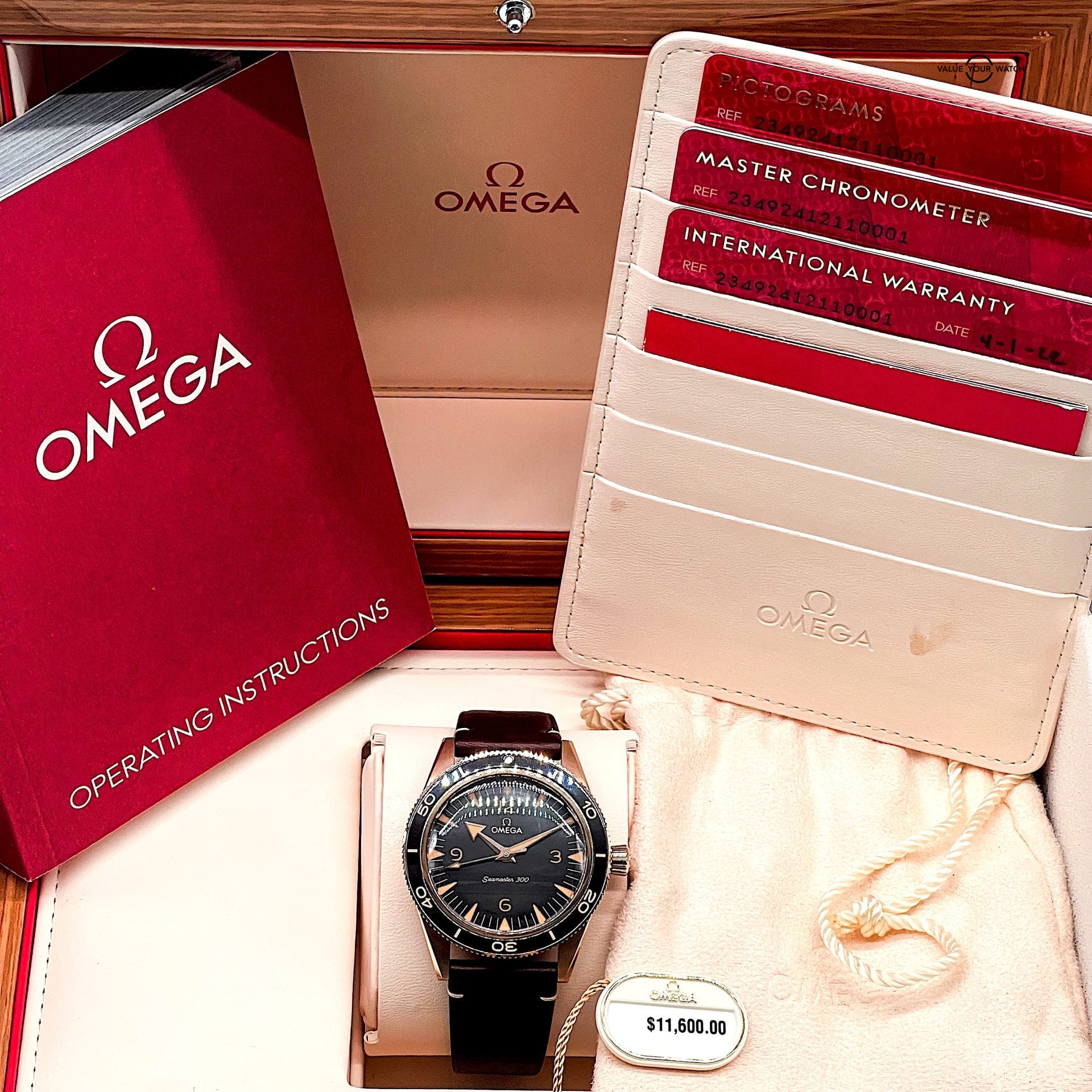 Omega Seamaster 300 Bronze Gold / 234.92.41.21.10.001 / 2022 Full Set - Image 12