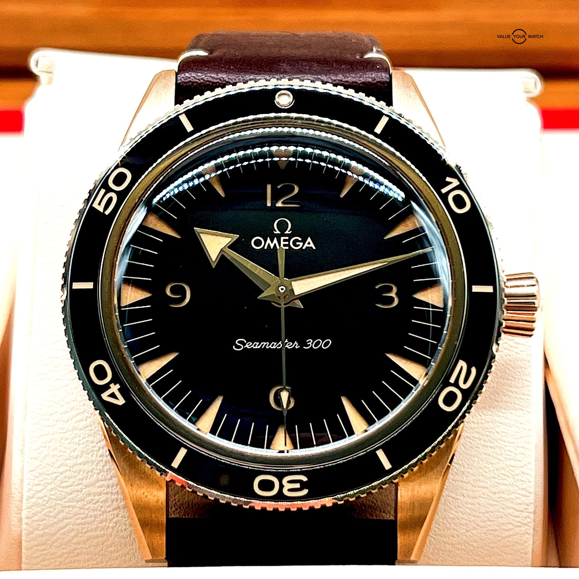 Omega Seamaster 300 Bronze Gold / 234.92.41.21.10.001 / 2022 Full Set - Image 2
