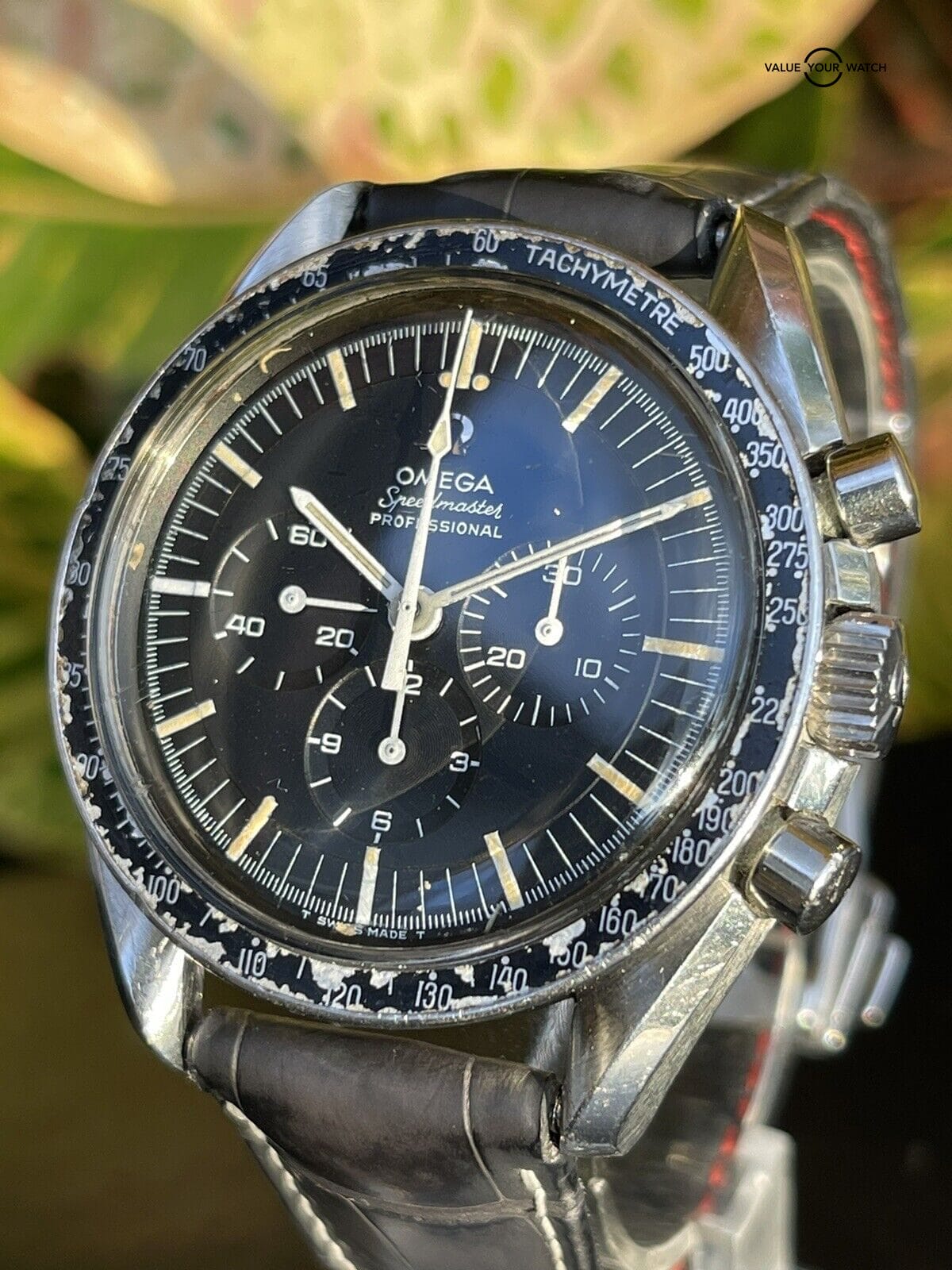 Omega pre best sale moon watch