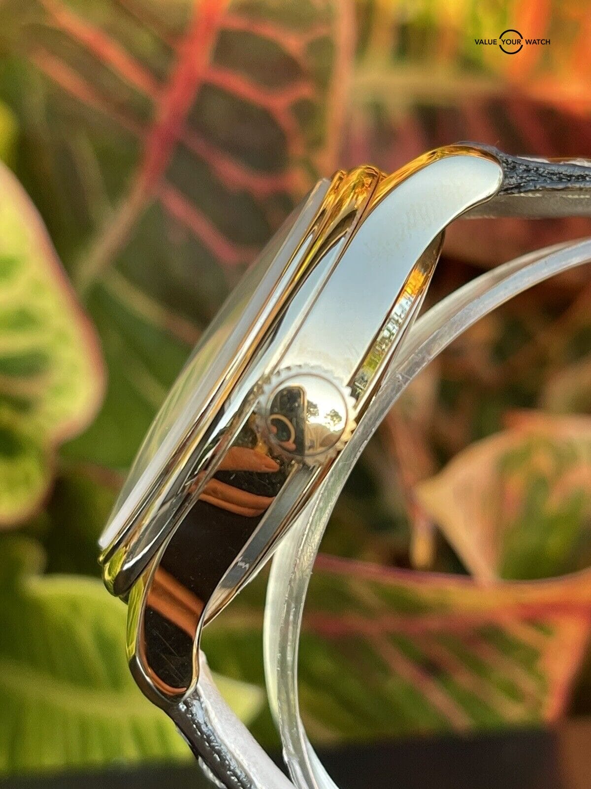 Auth. Zeno-Watch Basel Open Heart 9564 Swiss Made ETA 2824 Watch Automatic Runs - Image 12