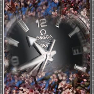 Omega Seamaster Planet Ocean Oreo 215.30.44.22.01.001 GMT