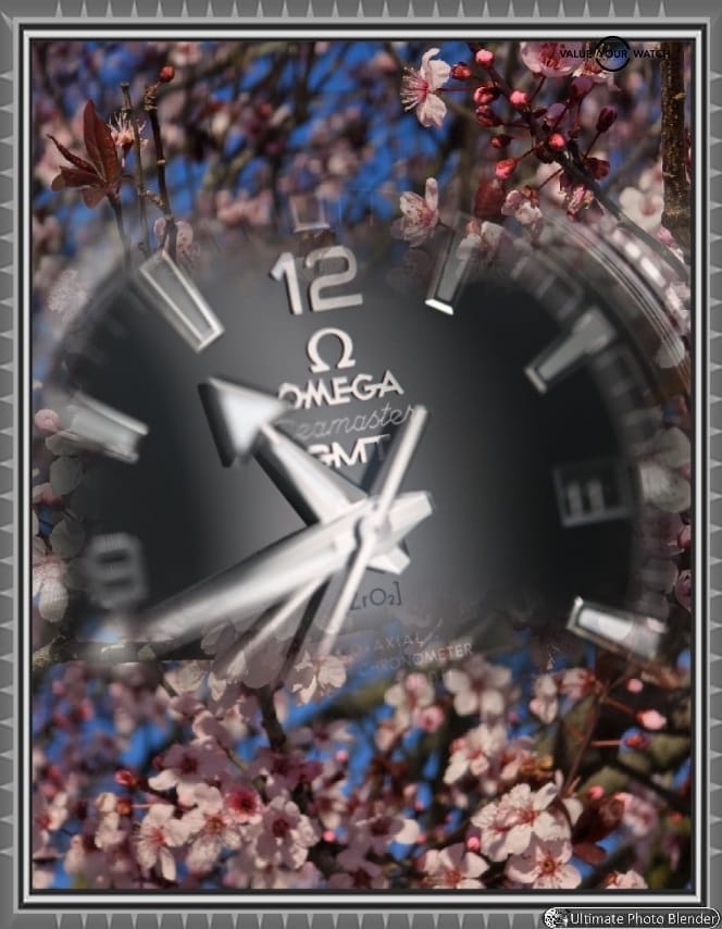 Omega Seamaster Planet Ocean Oreo 215.30.44.22.01.001 GMT