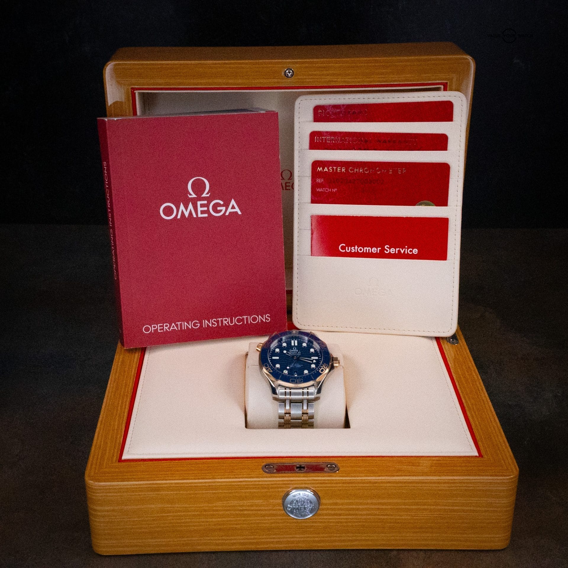 Omega Seamaster Professional Diver 300M 42mm Stainless Steel and Sedna™ Gold - Image 10
