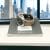 2013 Panerai Luminor GMT 1950 3 Days 44MM Black Dial Rubber Strap (PAM00321)