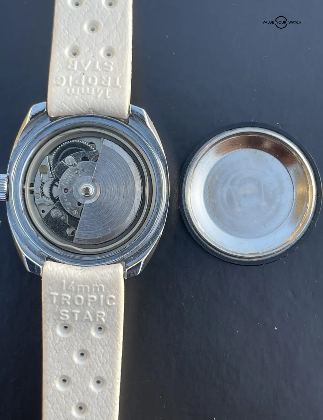 CORDURA Lady Sea Gull Diver Automatic Watch 17J Vintage SICURA WATCH Estate Sale - Image 9