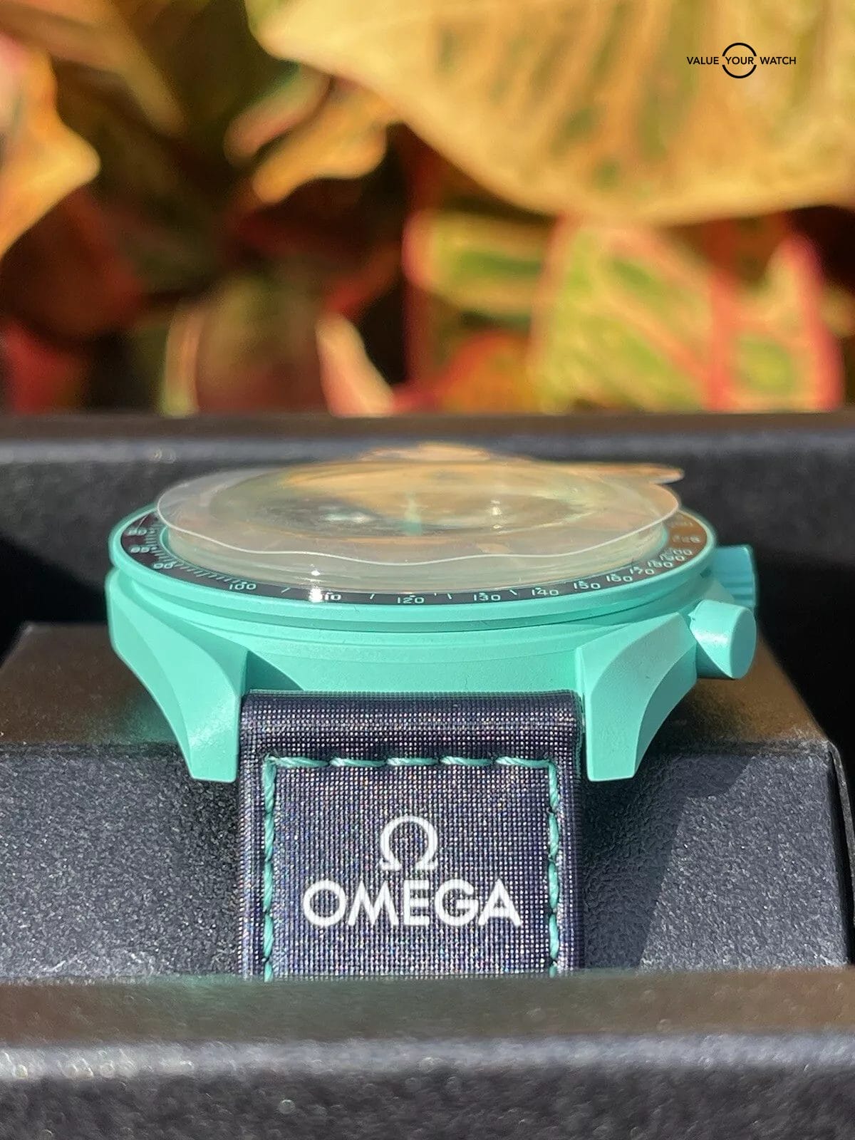 Omega X Swatch Speedmaster Mission On Earth Polar Lights Omega X Swatch Speedmaster Mission On Earth Polar Lights