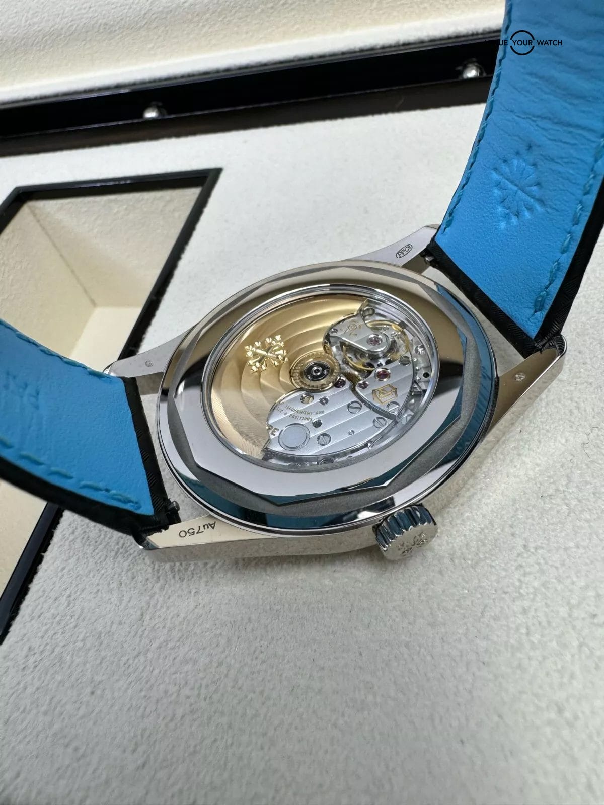 May 2024 Patek Philippe Calatrava 6007G-011 White Gold Blue Accents Carbon Dial - Image 5
