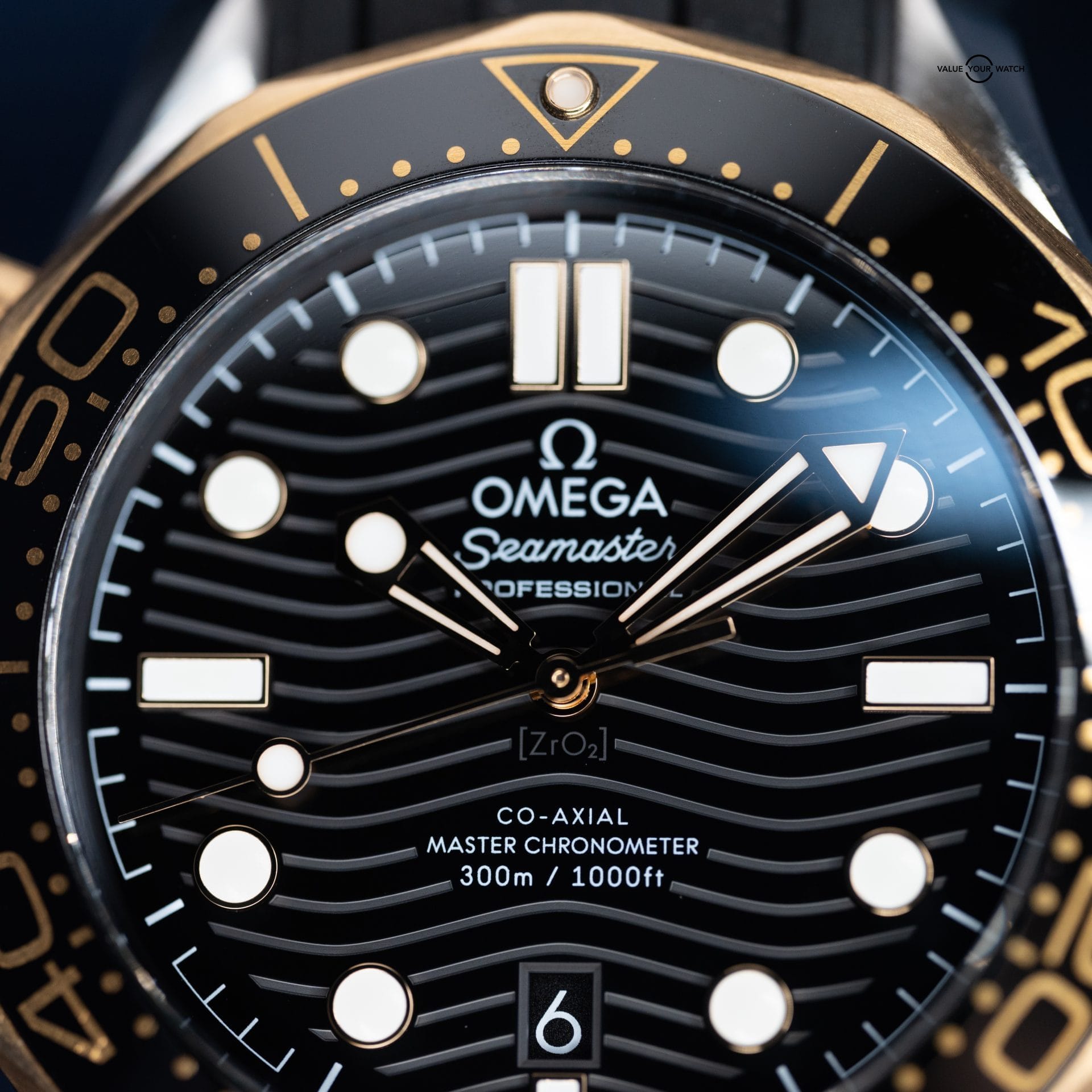 Omega Seamaster Professional Diver 300M Black & 18K Sedna Gold