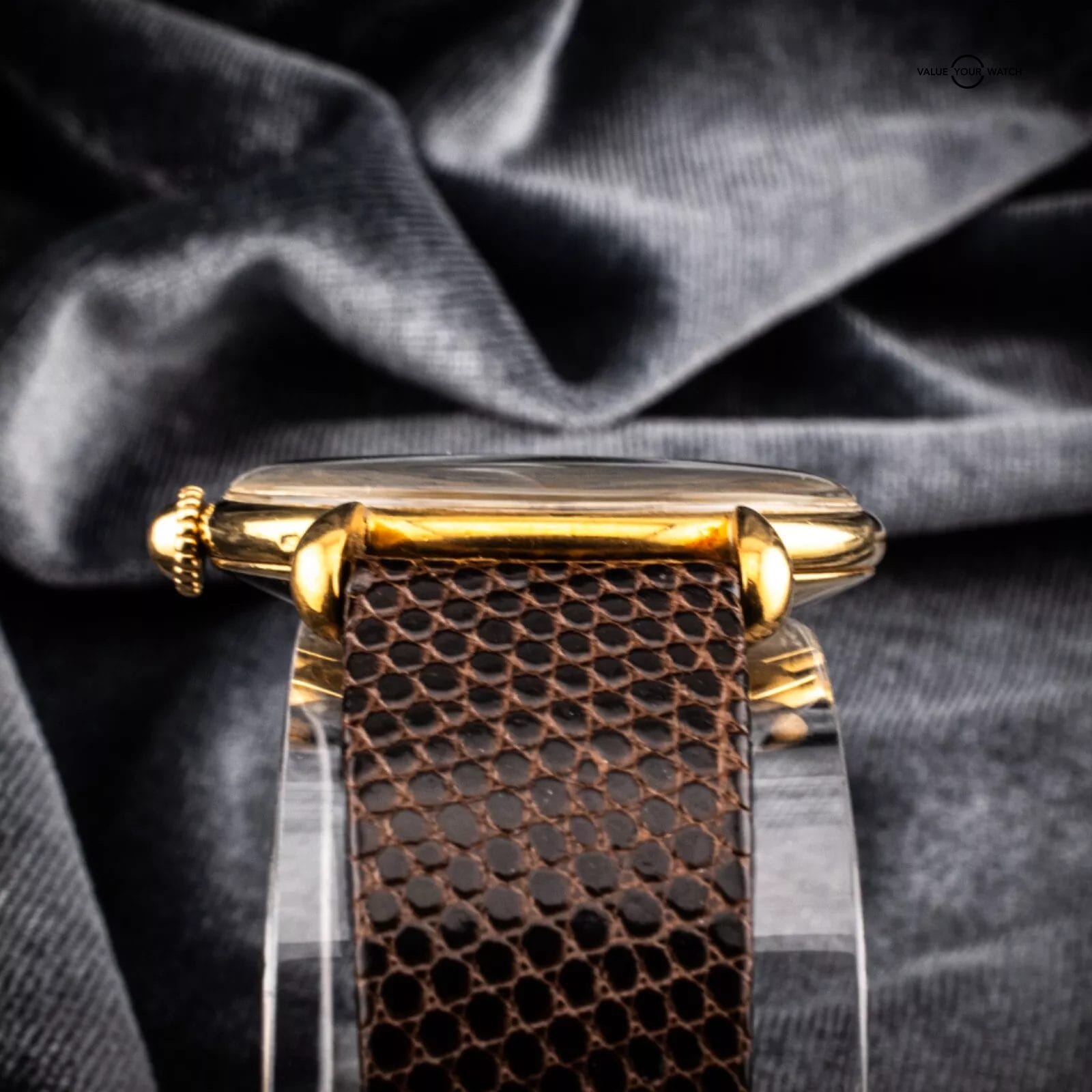 ペルセウスダーク　6-80 W ゴールド Black_gold_ad.jpg