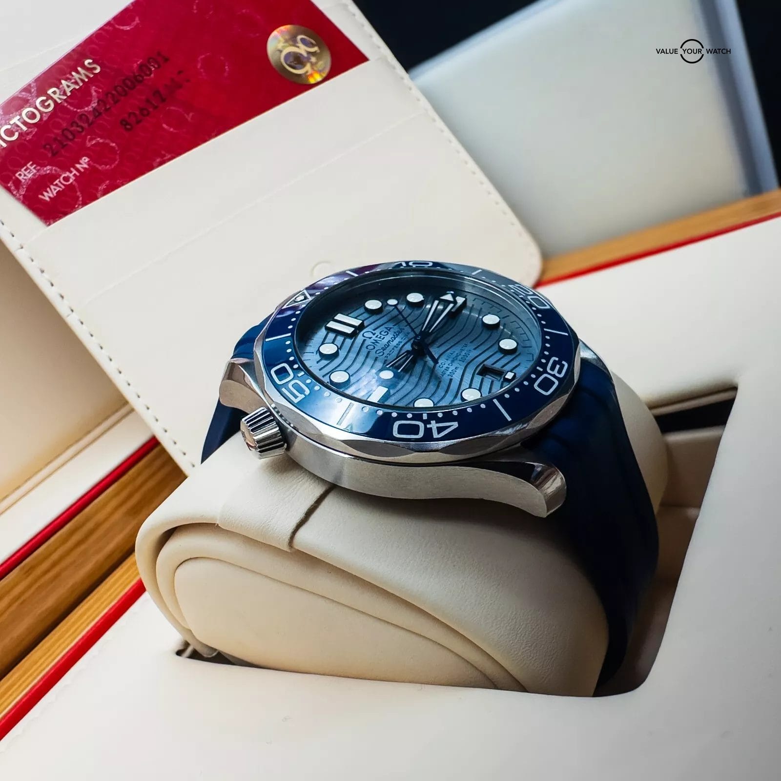 OMEGA Seamaster Diver 300M Grey Dial Full Set Box & Cards 210.32.42.20.06.001 - Image 3