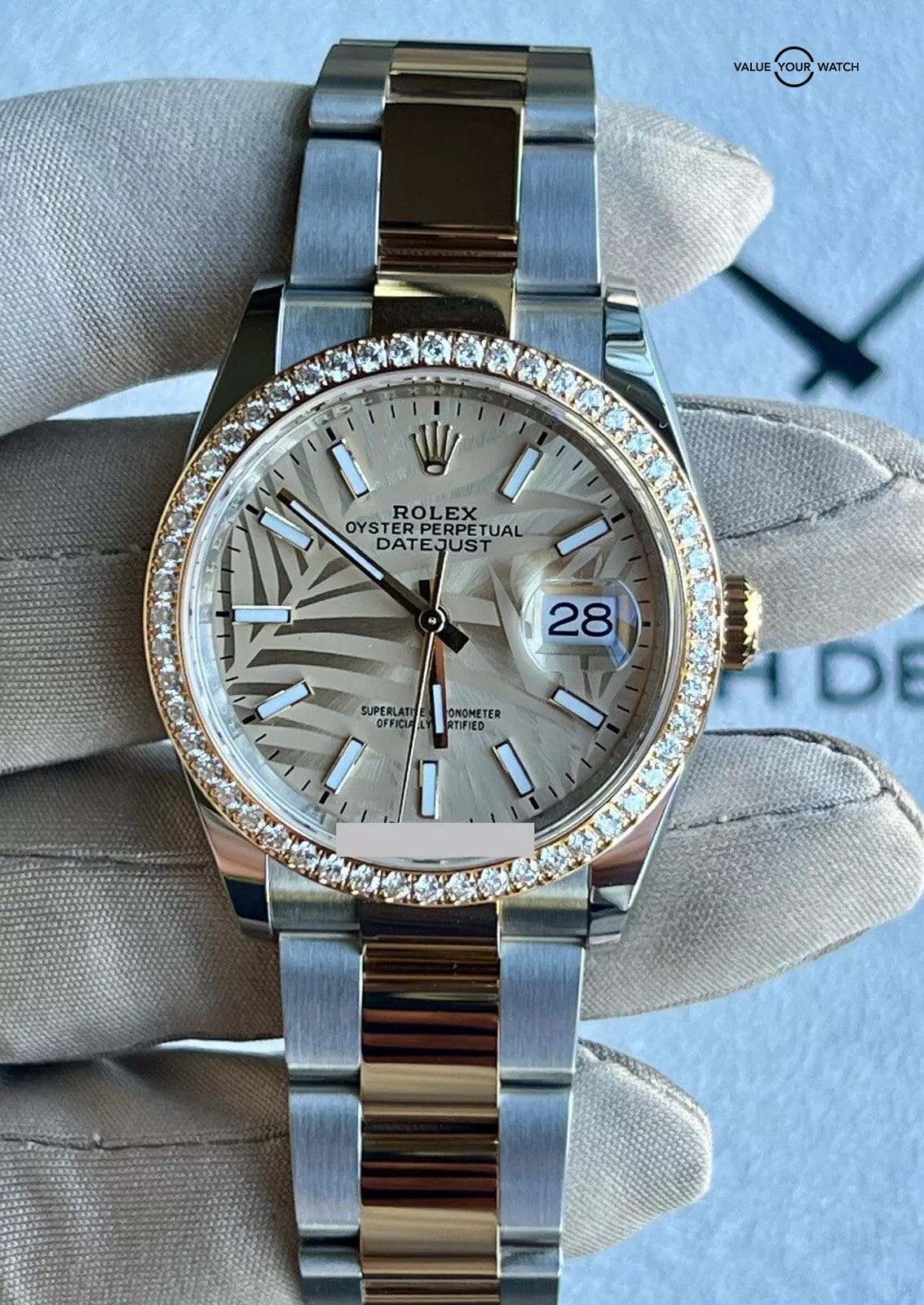 Rolex Datejust 36 Two-Tone Palm Motif Diamond Bezel Oyster Bracelet Complete
