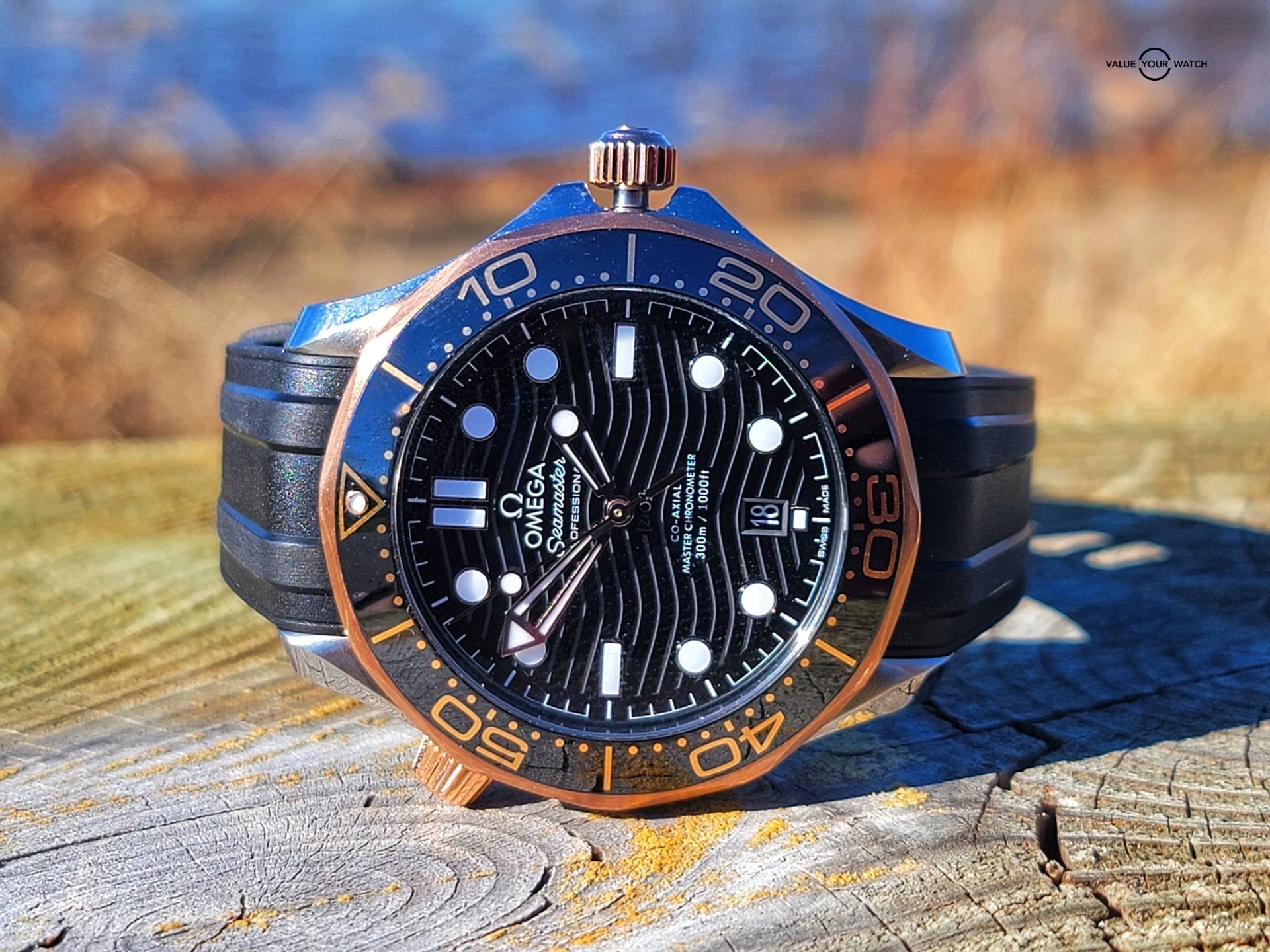 Omega Diver 300 meter Sedona Gold