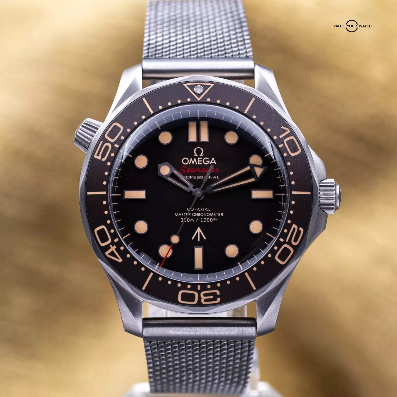 Omega Seamaster Diver 300M 007 Titanium NTTD Bond Watch 42mm - 2023 Full Set - Image 13