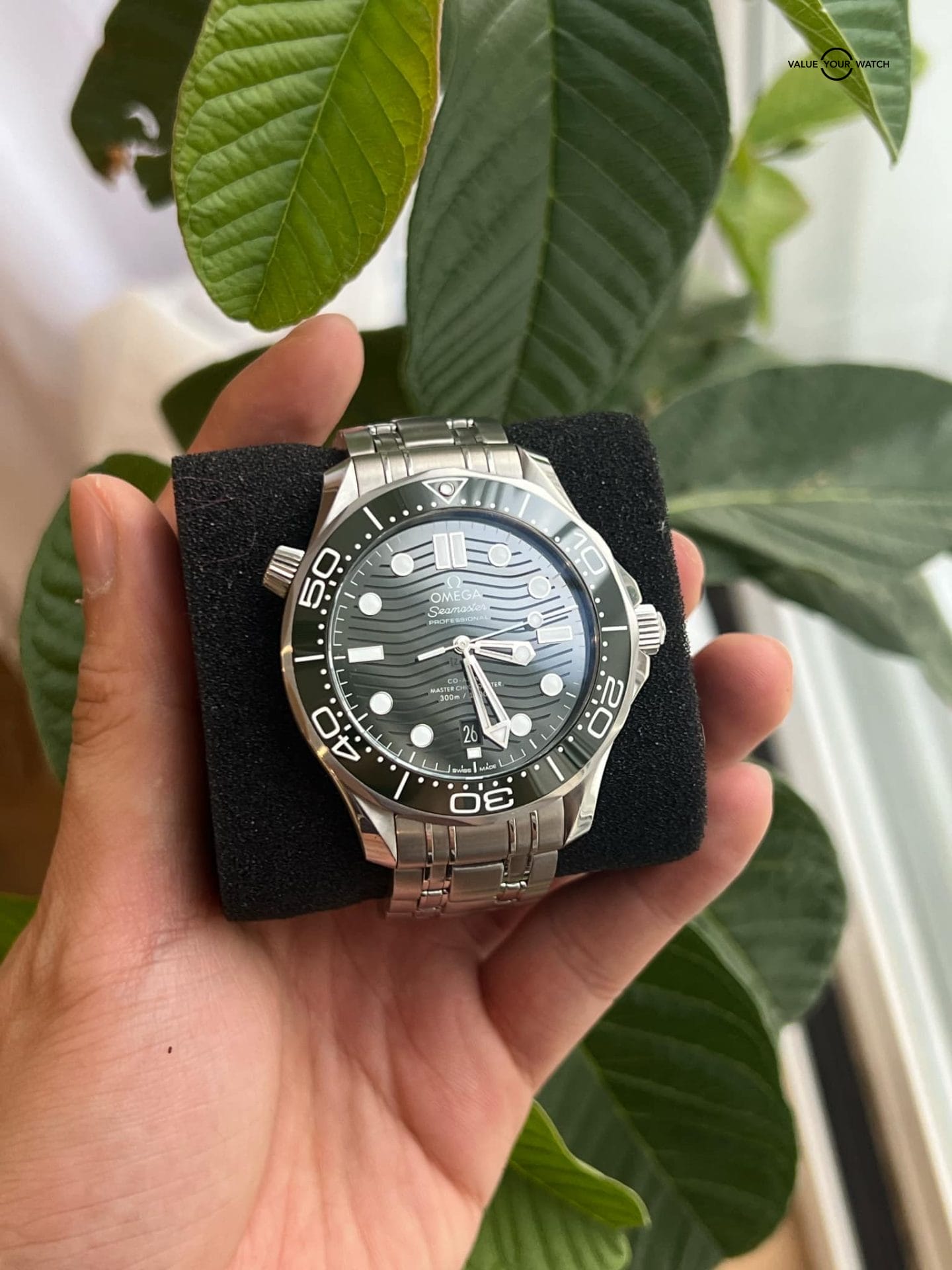 Omega Seamaster 210.30.42.20.10.001 2022 - Image 2