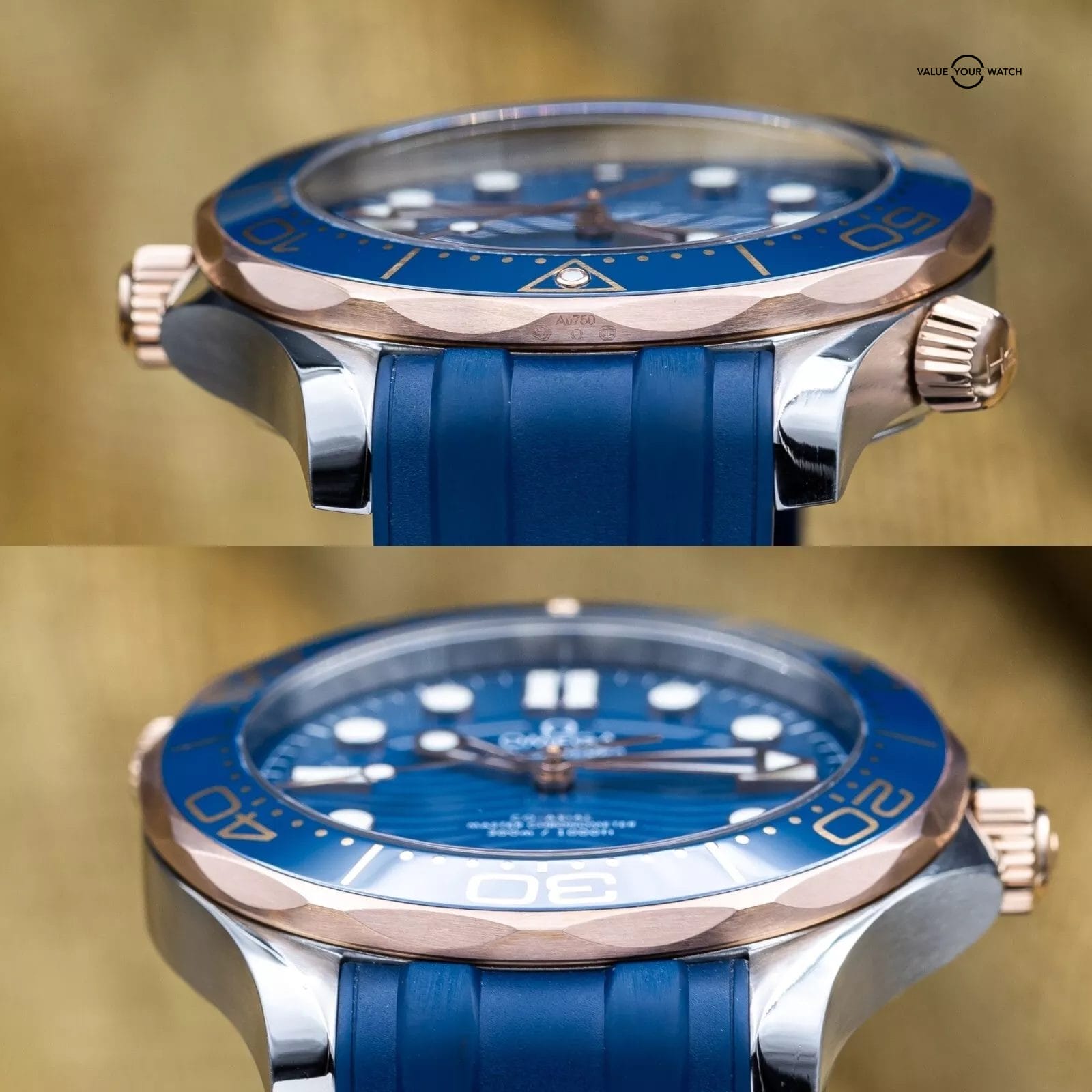 Omega Seamaster 300 Professional Two-Tone Sedna Gold 42mm - 210.22.42.20.03.002 - Image 8