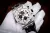 Audemars Piguet Royal Oak Offshore Panda Chronograph 26170ST.OO.D101CR.02