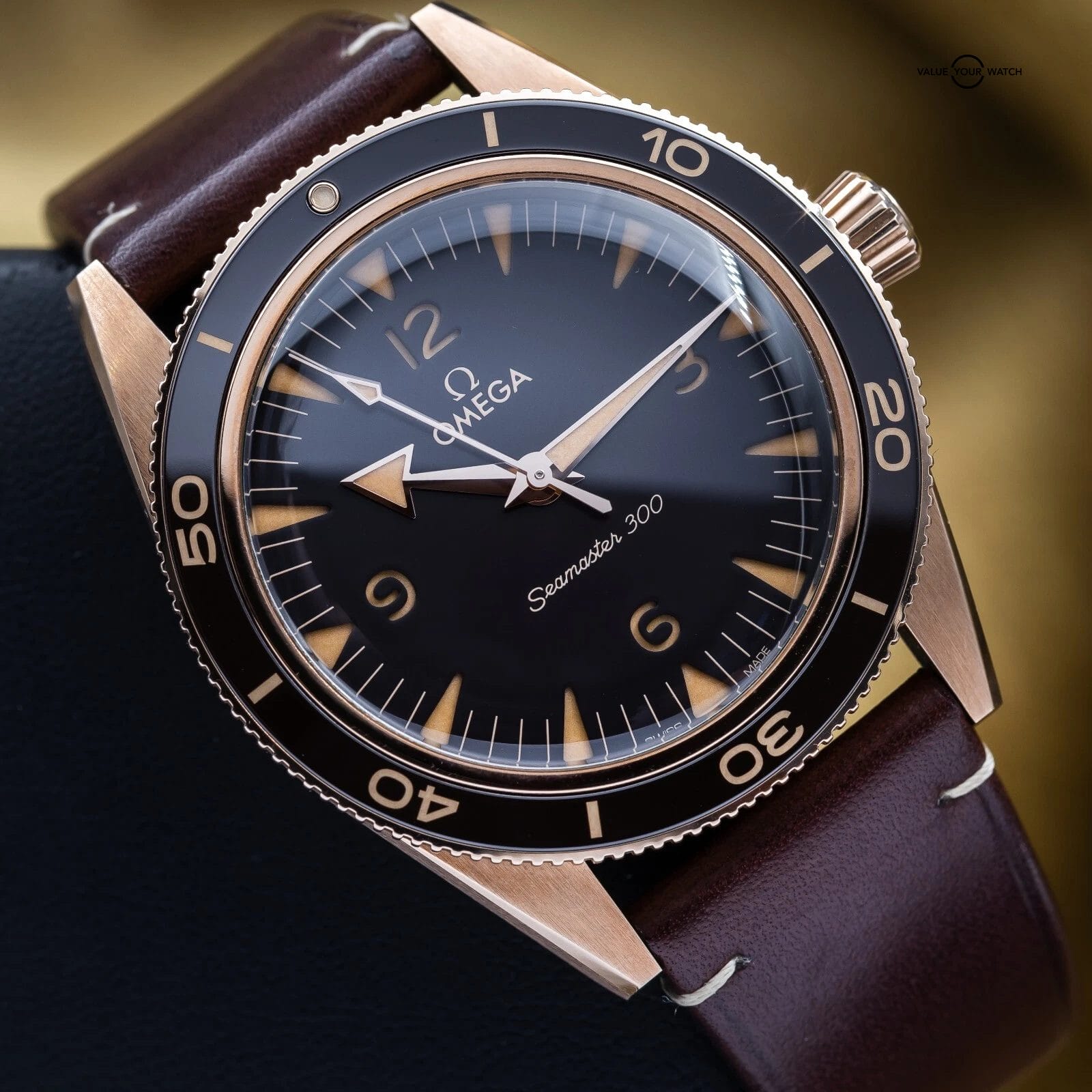 Omega Seamaster 300 Bronze Gold 41mm 234.92.41.21.10.001 – 2021 Complete Set - Image 2