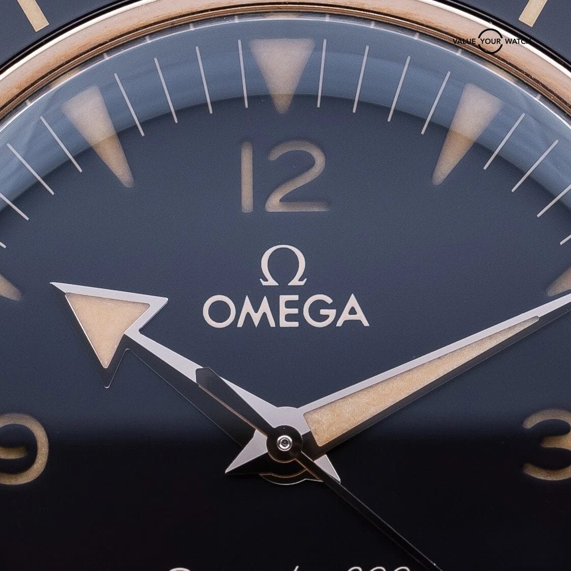Omega Seamaster 300 Bronze Gold 41mm 234.92.41.21.10.001 – 2021 Complete Set - Image 4