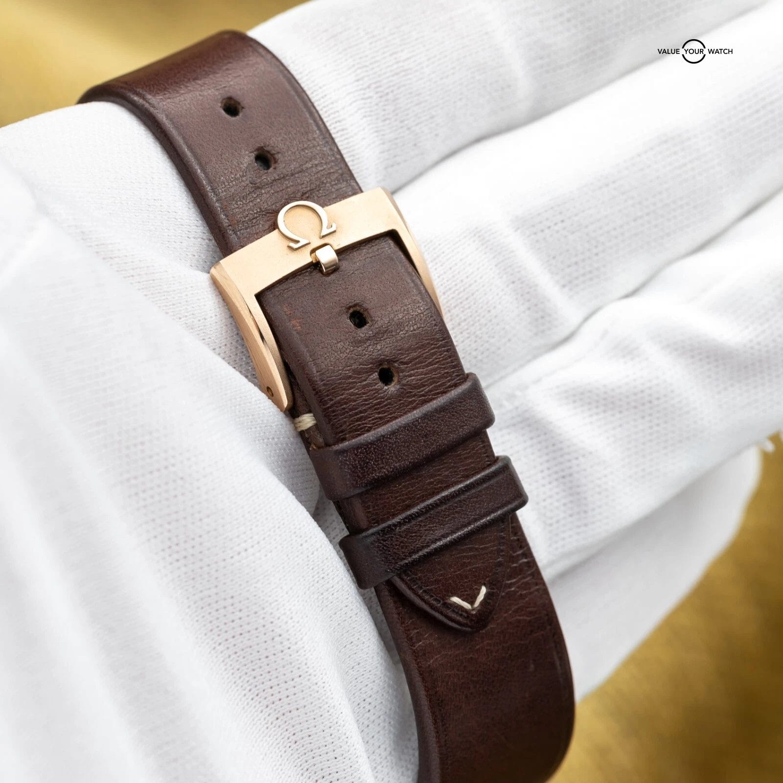 Omega Seamaster 300 Bronze Gold 41mm 234.92.41.21.10.001 – 2021 Complete Set - Image 5