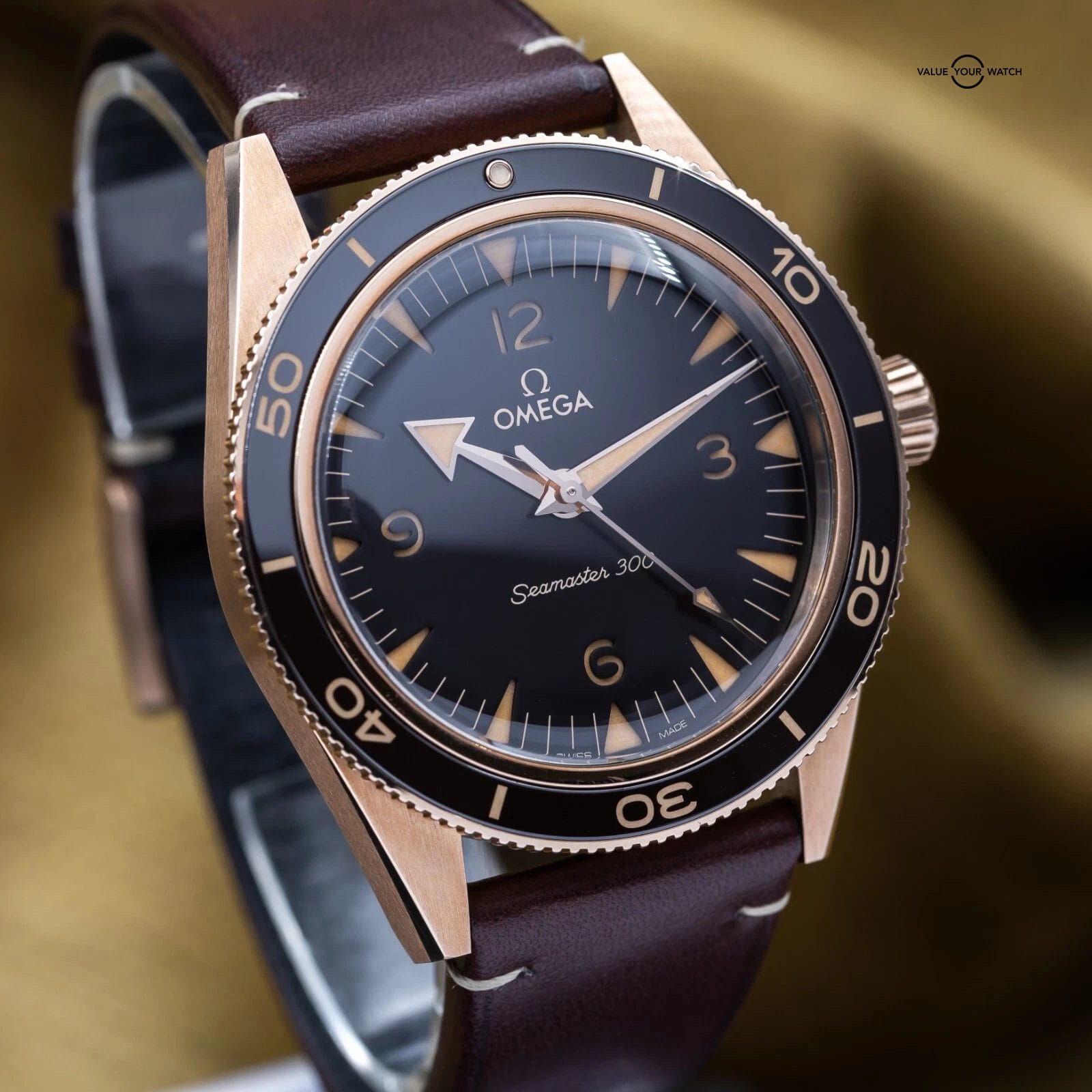 Omega Seamaster 300 Bronze Gold 41mm 234.92.41.21.10.001 – 2021 Complete Set - Image 8