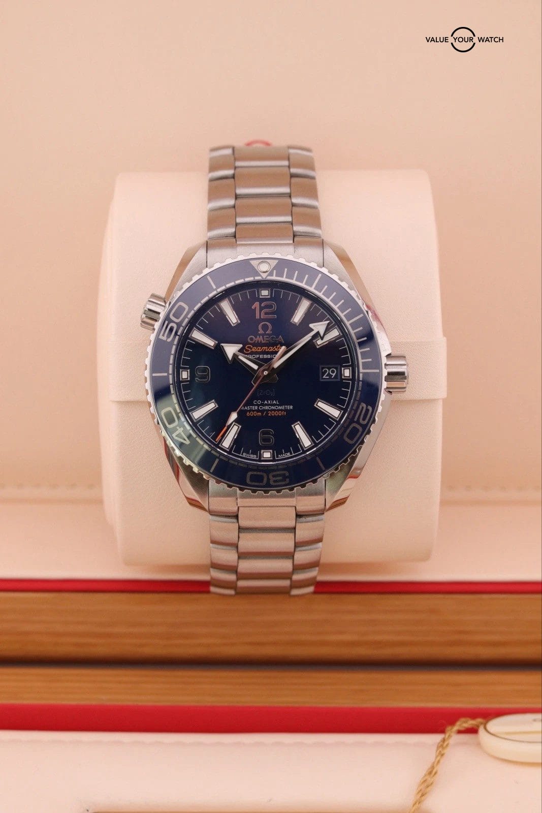 2025 OMEGA Seamaster Planet Ocean 600M 39.5mm 215.30.40.20.03.001