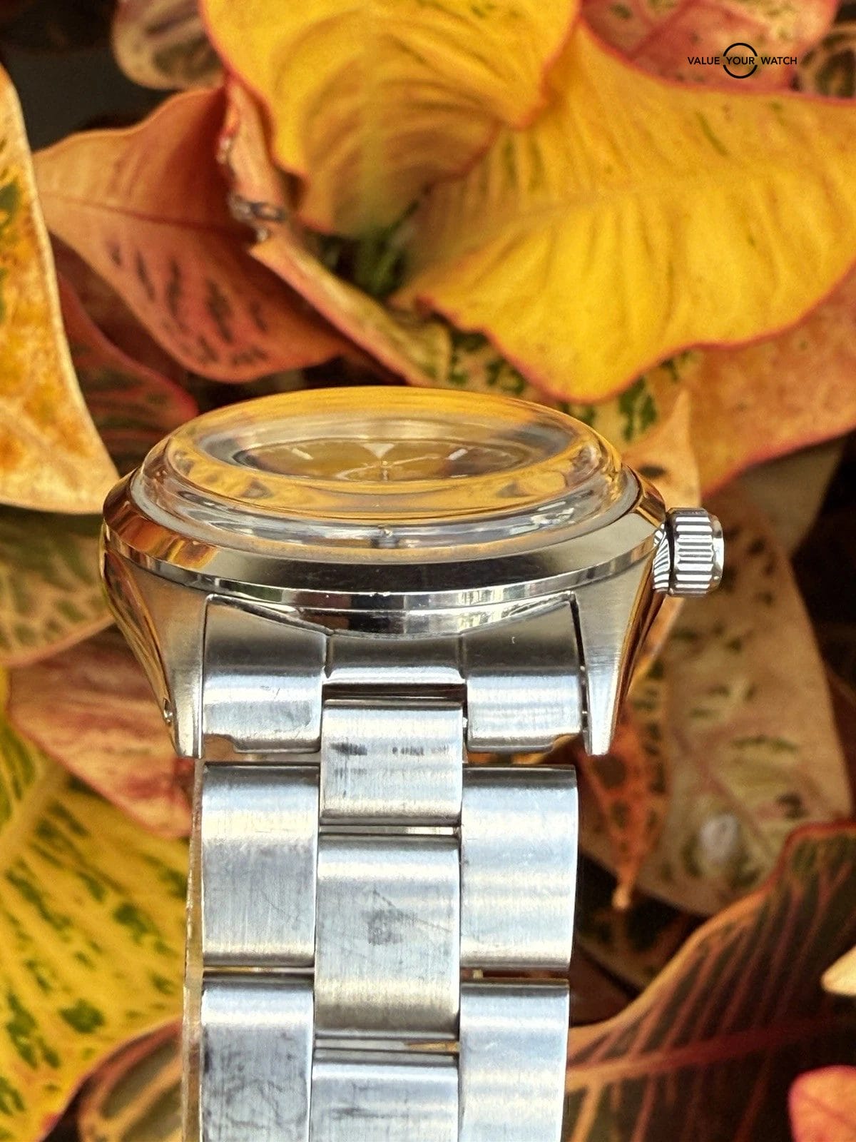 Vague Watch Company Every-One Automatic Watch 34mm Explorer 1016 - Image 10