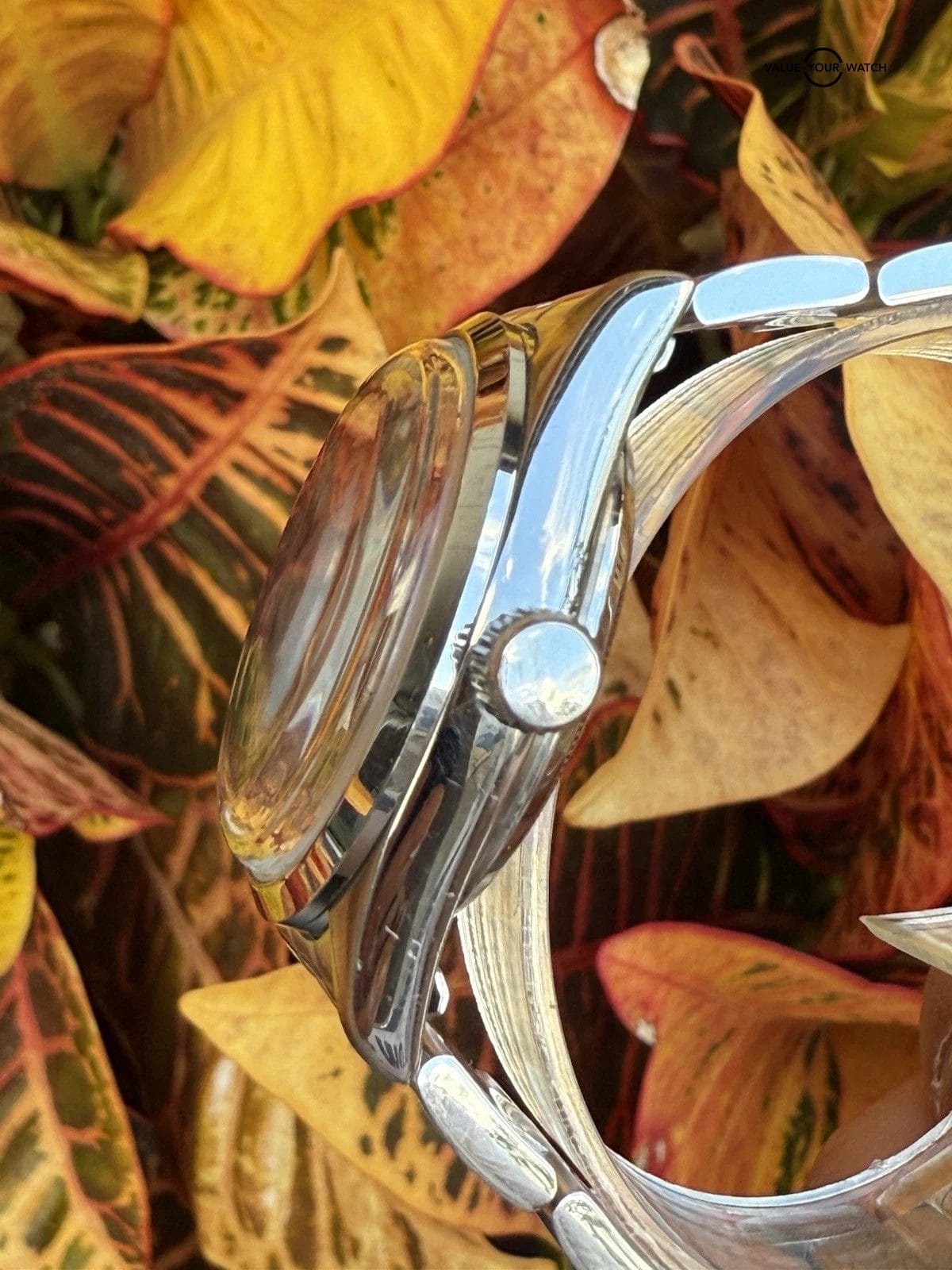 Vague Watch Company Every-One Automatic Watch 34mm Explorer 1016 - Image 11