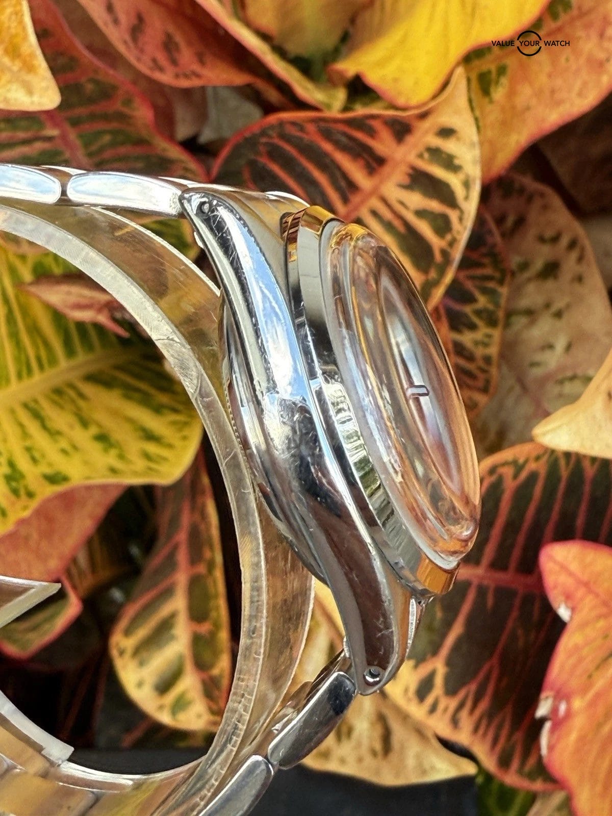 Vague Watch Company Every-One Automatic Watch 34mm Explorer 1016 - Image 12