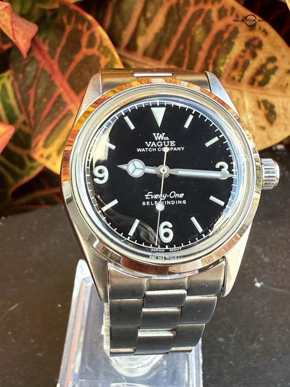 Vague Watch Company Every-One Automatic Watch 34mm Explorer 1016