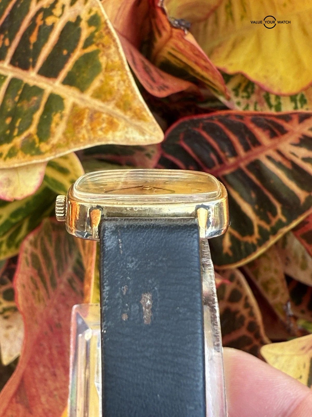 Vintage Omega Geneve Cal.625 24mm TV Rectangle Manual Wind Lady’s Watch Runs - Image 21