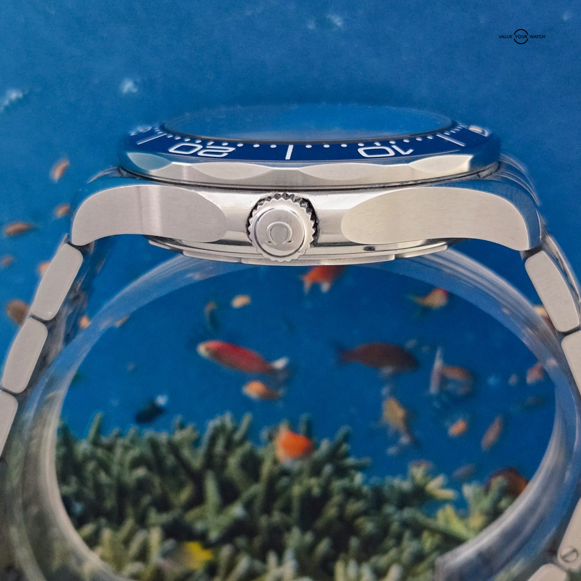 2025 OMEGA Seamaster Diver 300M 42mm w/ Blue Wave Dial, Steel Bracelet ref:210.30.42.20.03.001 - Image 4