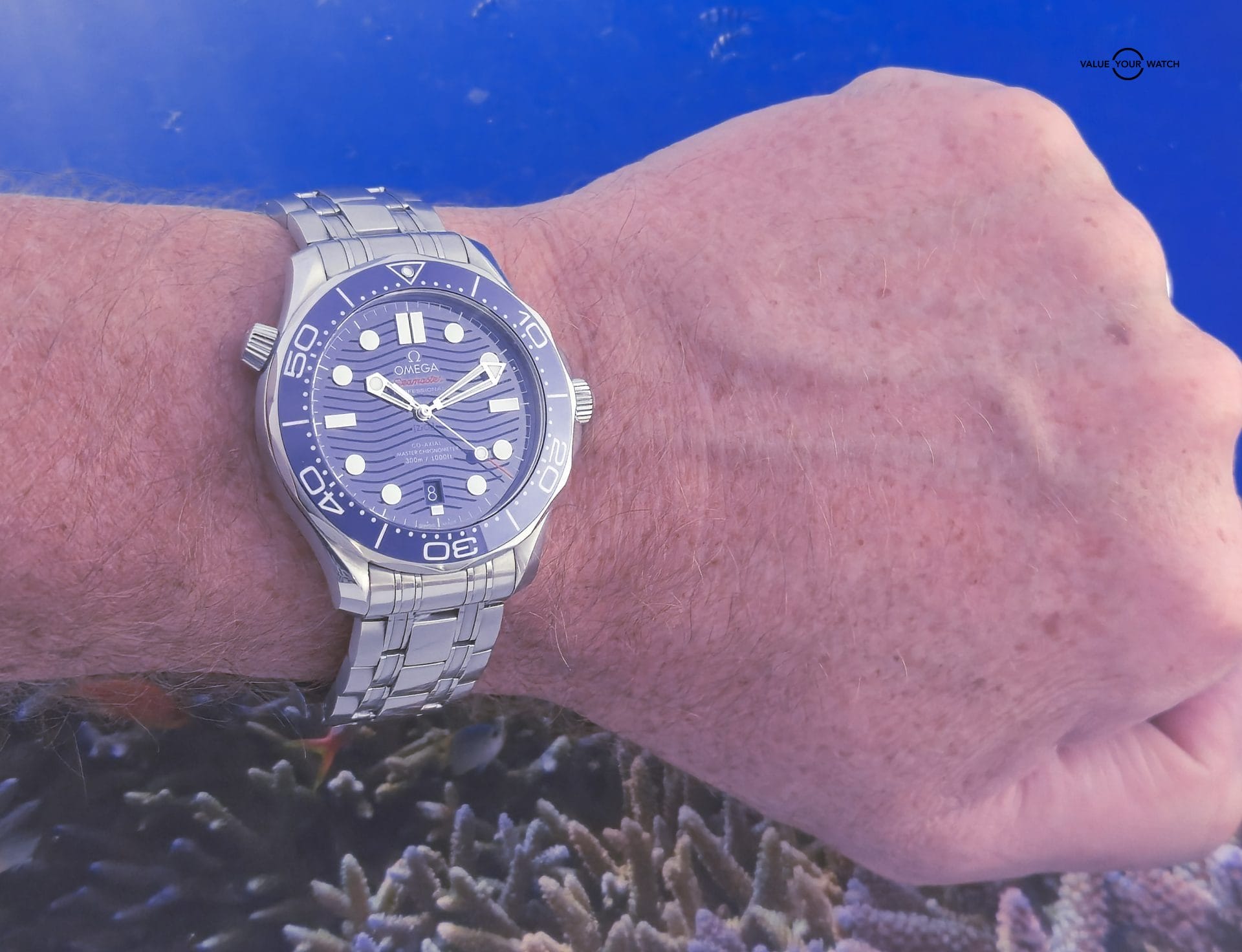 2025 OMEGA Seamaster Diver 300M 42mm w/ Blue Wave Dial, Steel Bracelet ref:210.30.42.20.03.001 - Image 13