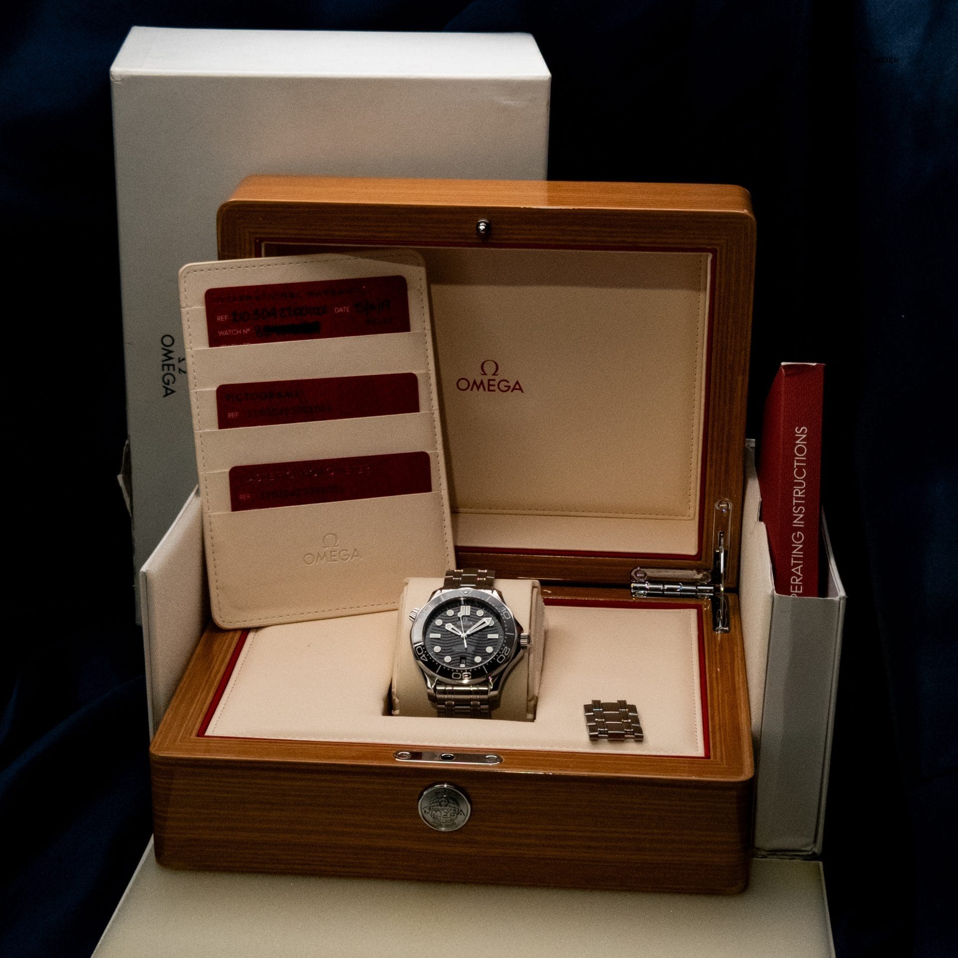Omega Seamaster Diver 300M Black Wave Steel 210.30.42.20.01.001 42mm Box & Papers - Image 2